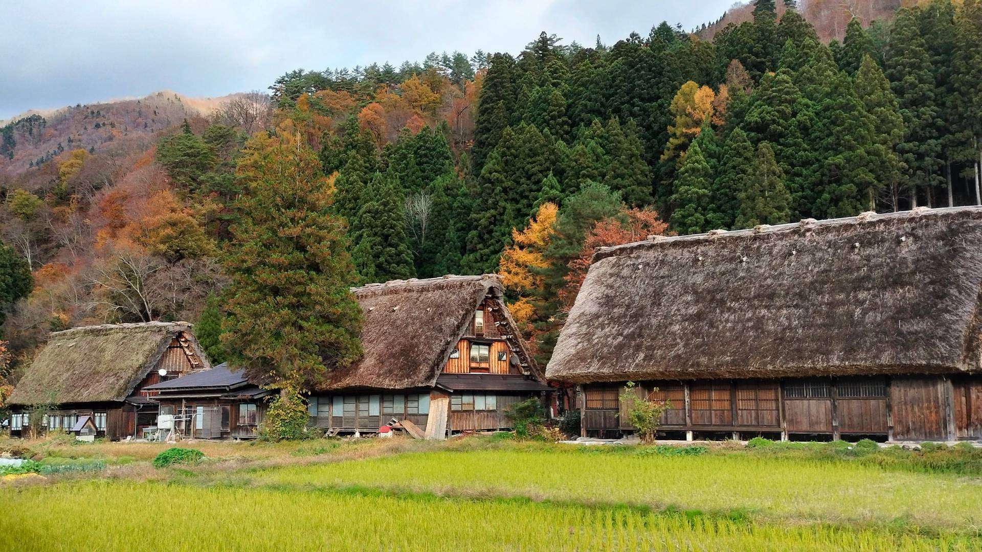 Techos de paja y viviendas tradicionales alpinas