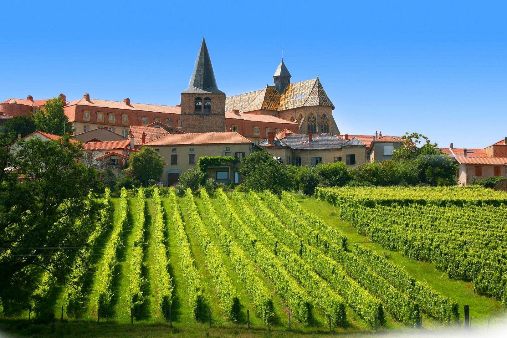 De la Vallée de la Loire aux montagnes viticoles du Pays Roannais