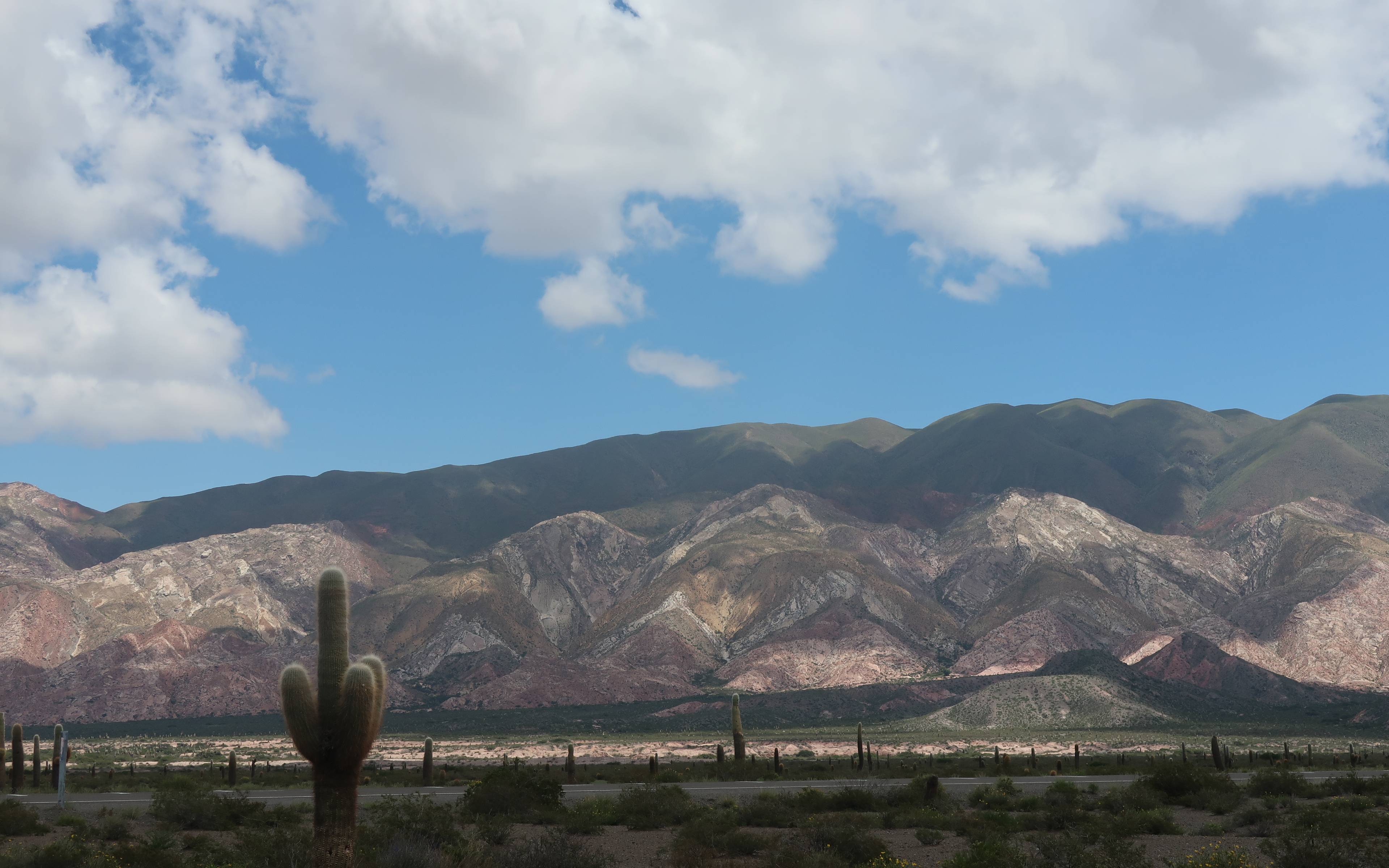 De Salta a Cachi: Cuesta del Obispo y Parque Nacional Los Cardones