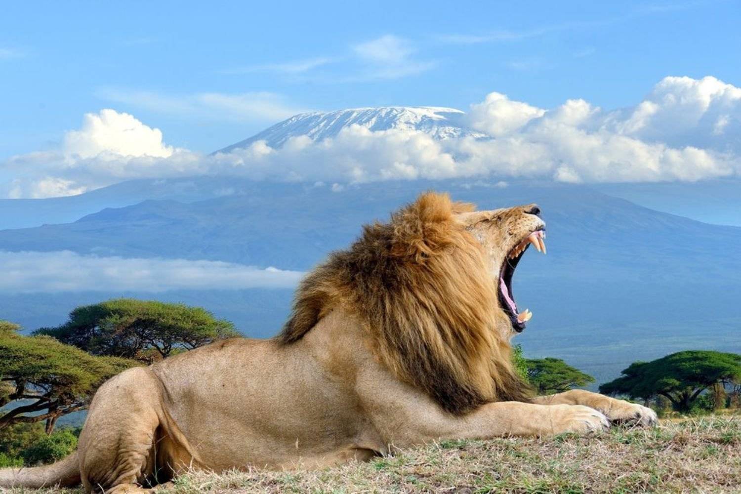 Direzione  Parco Nazionale di Amboseli