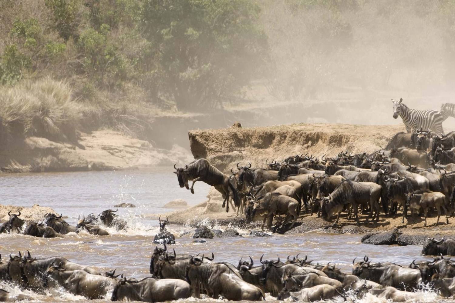 Safari nella riserva Nazionale Maasai Mara