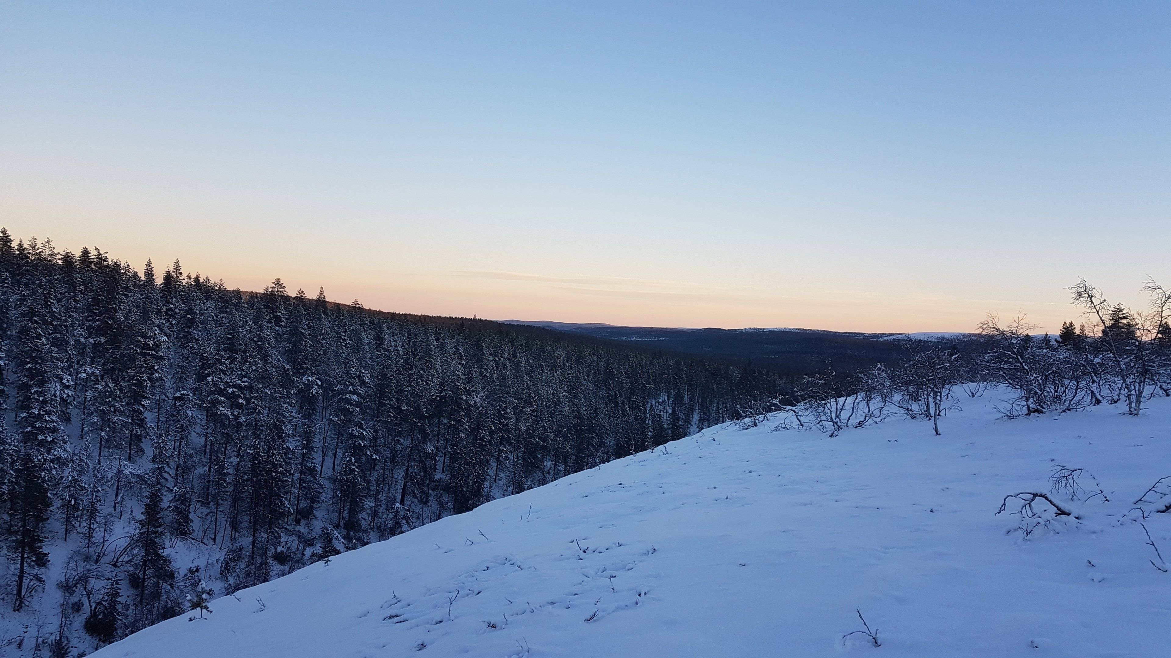 Día 2 - Día en la Tundra - Senderismo Invernal y Sauna de Humo