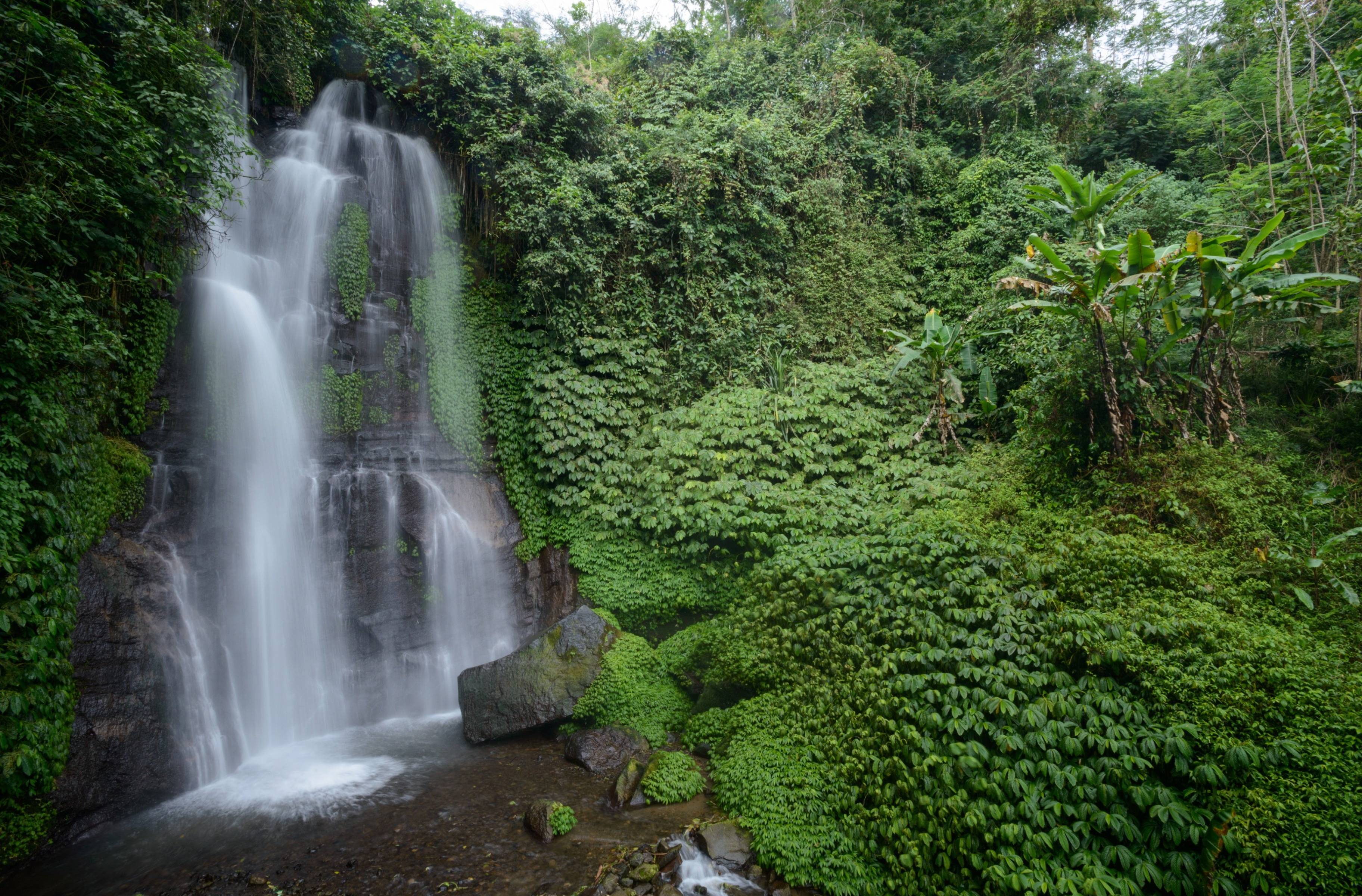 Les cascades de Bali