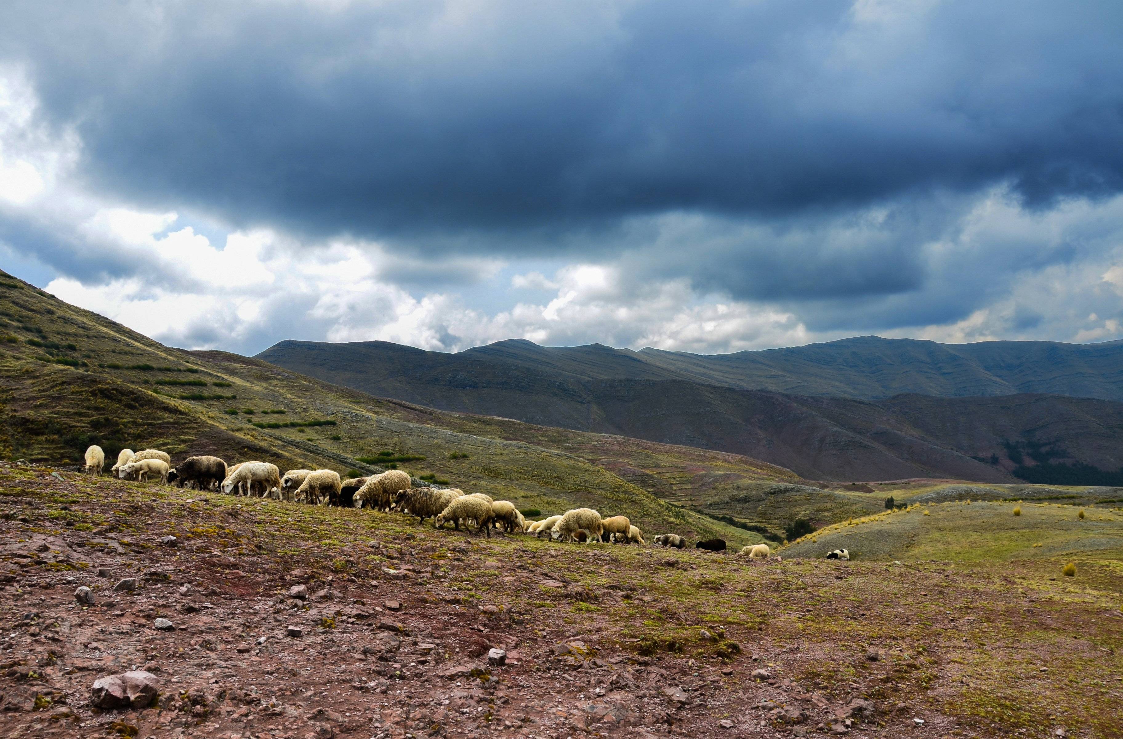 Paysages andins de la randonnée Huchuy Qosqo