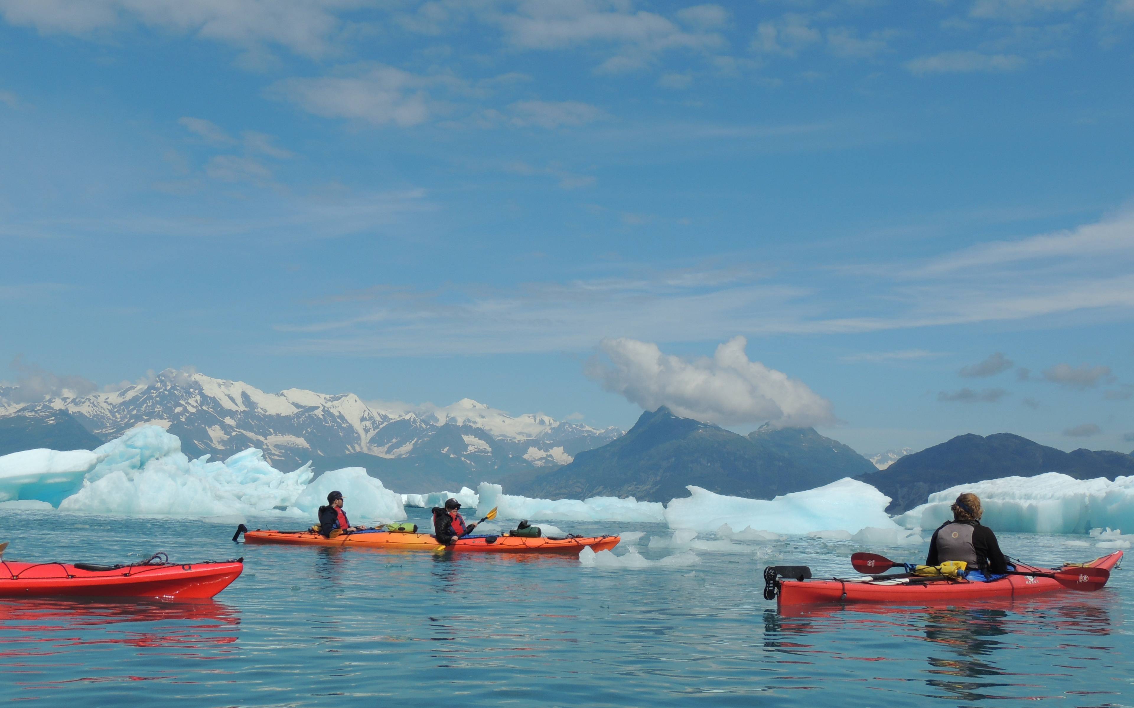 Valdez – optionales Eis-Kajaking oder Wildlife Cruise