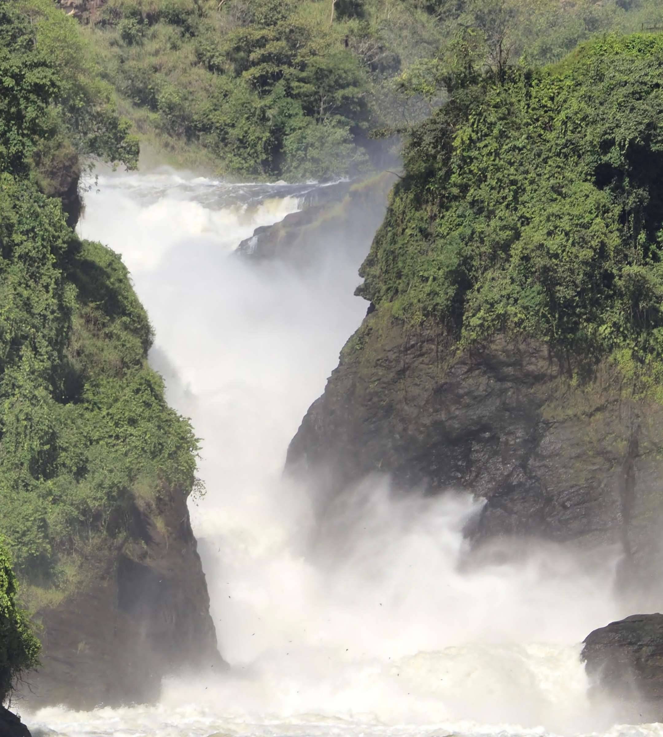 Il parco nazionale delle Murchison Falls