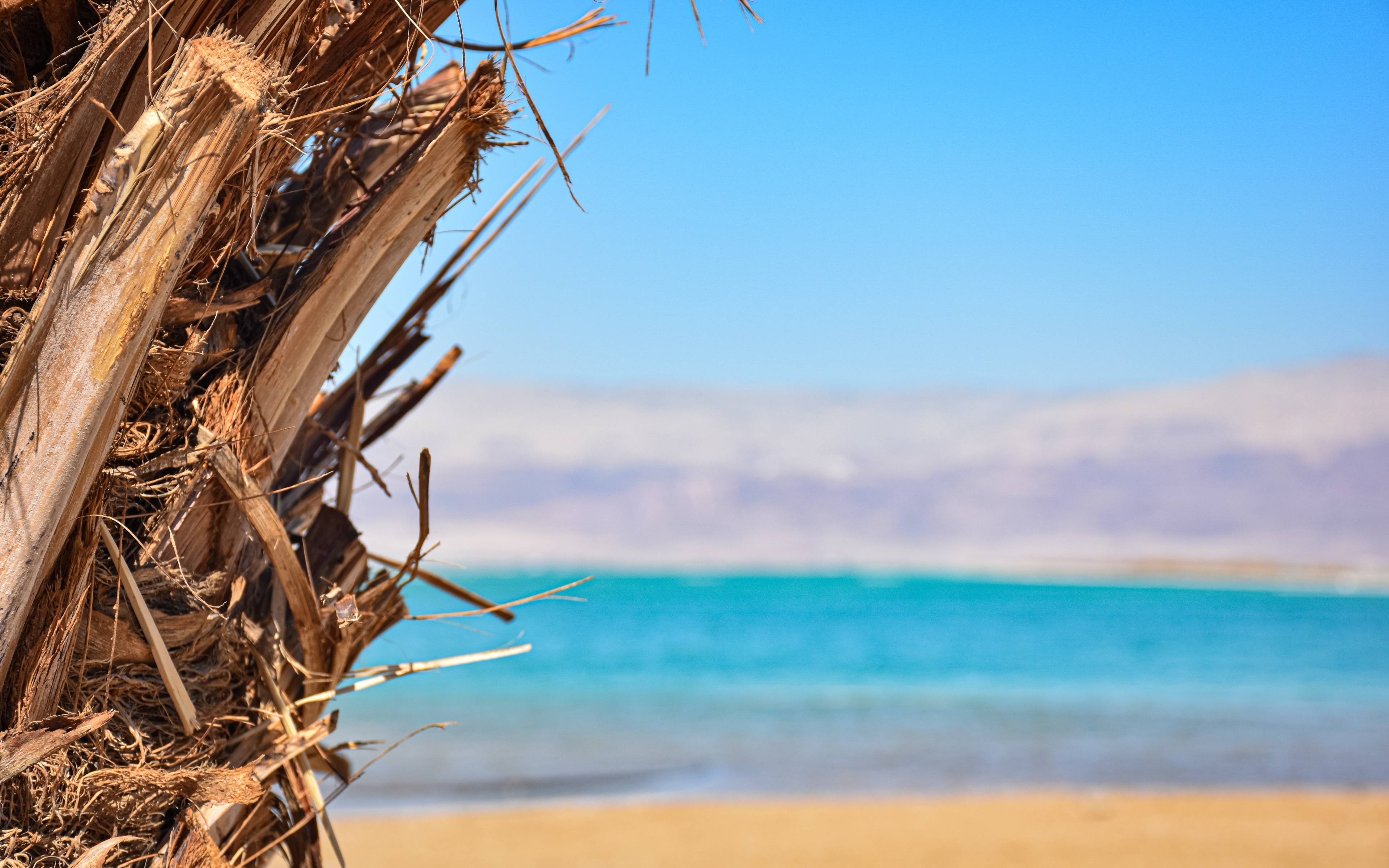 De la mer de Galilee à la mer Morte