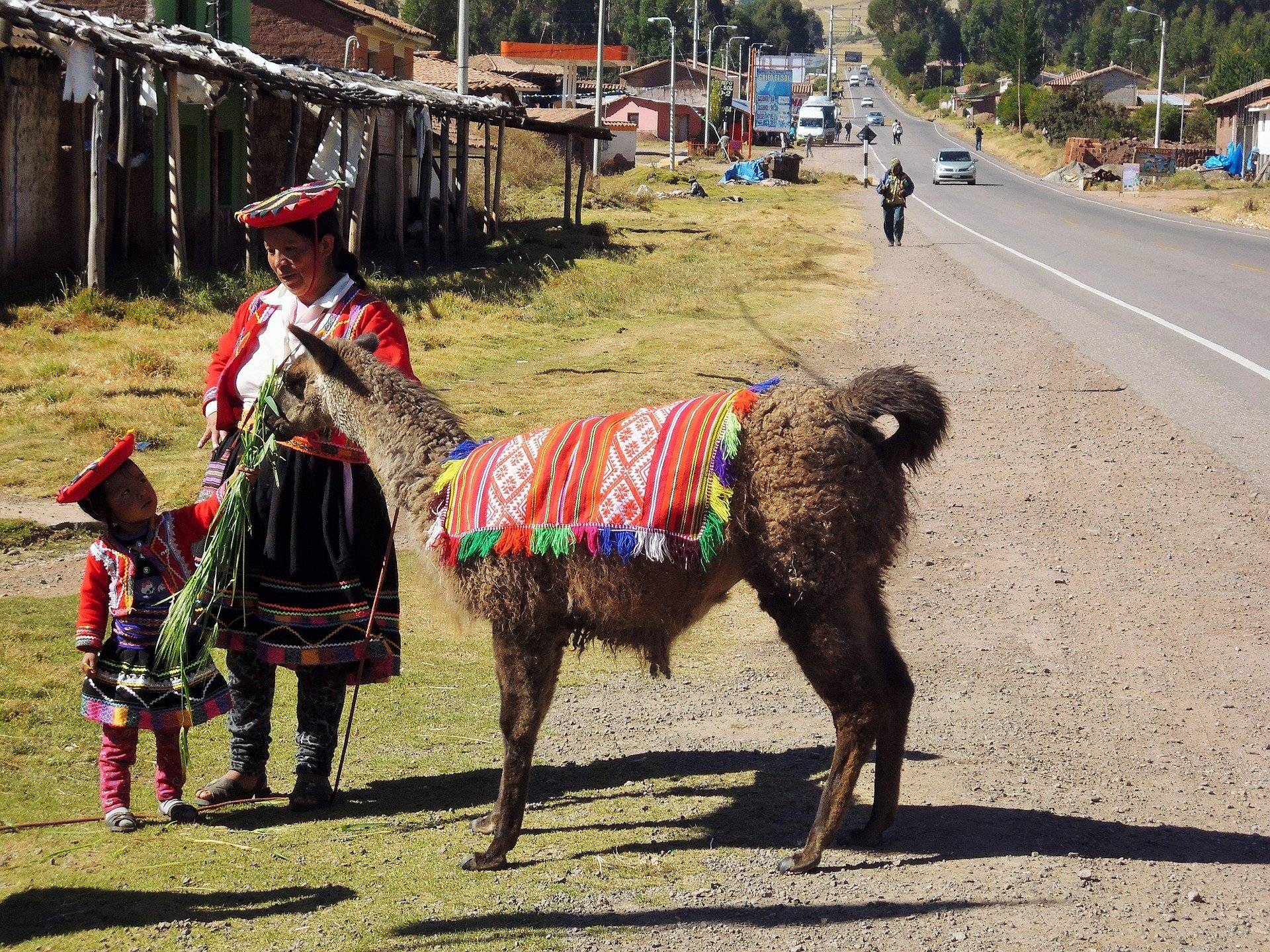 Découverte des textiles andins dans la communauté Amaru