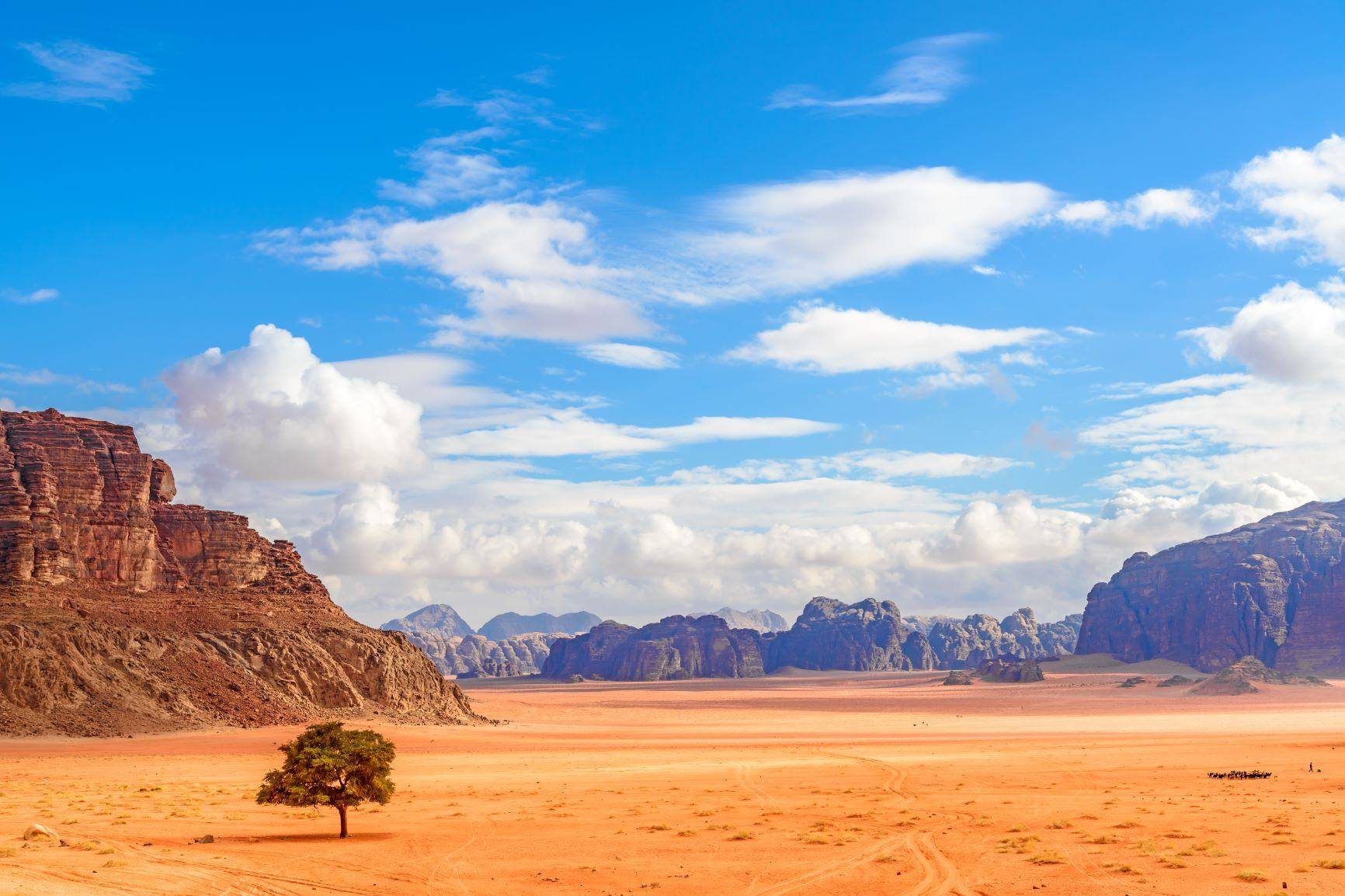 Die Wüste Wadi Rum erkunden