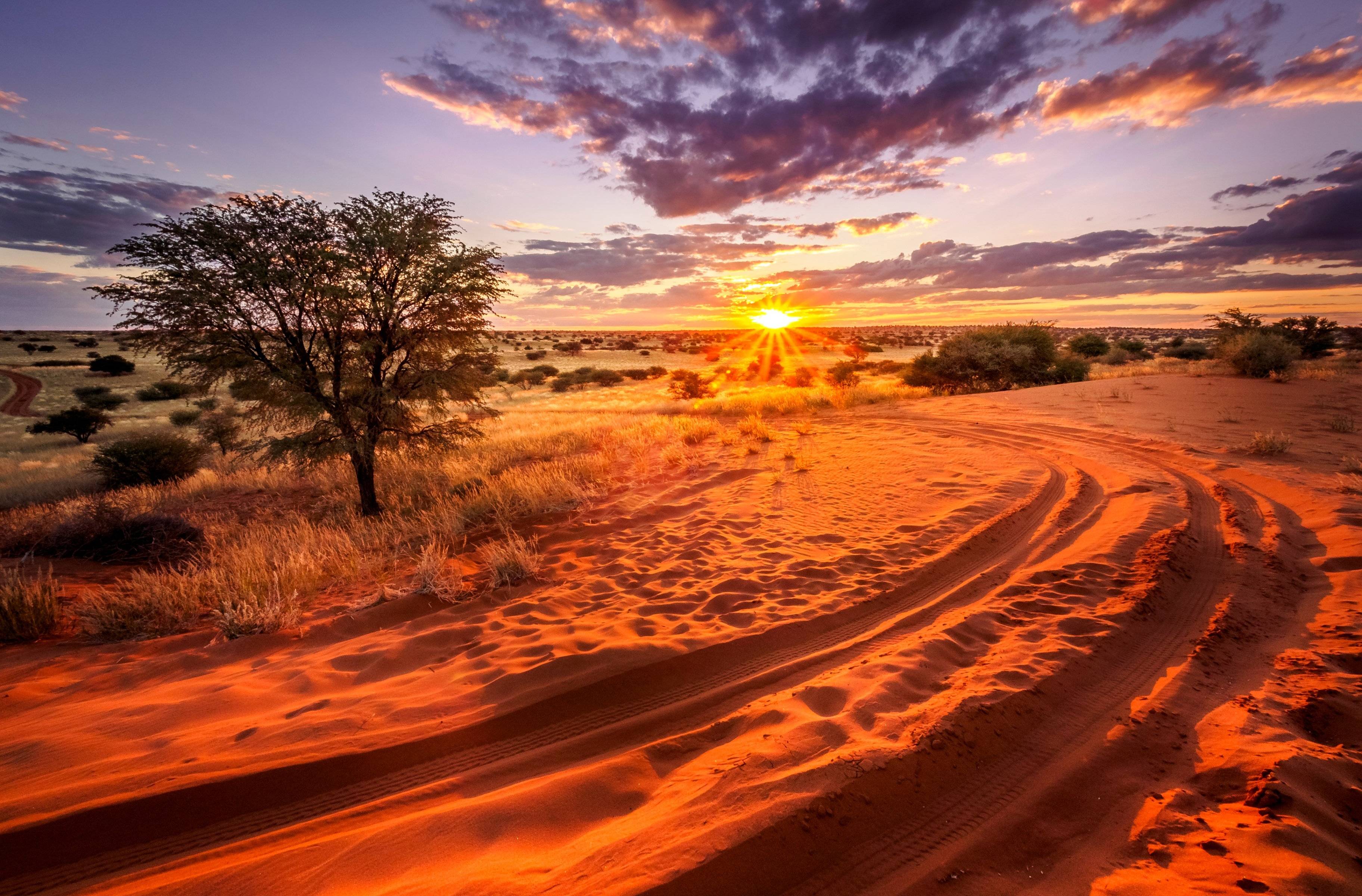 Freier Tag in der Kalahari 