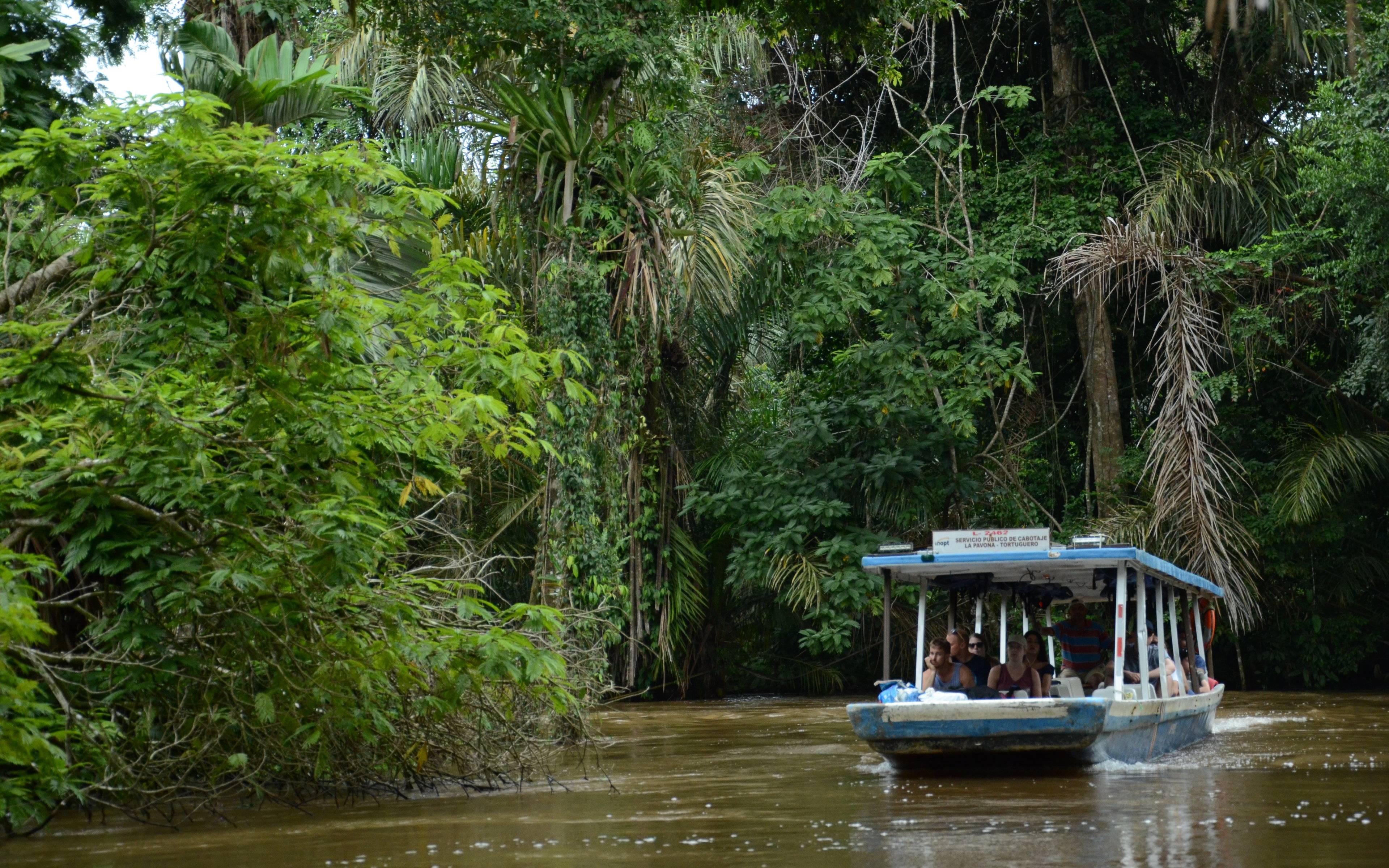 Abenteuer-Bootsfahrt durch den Regenwald