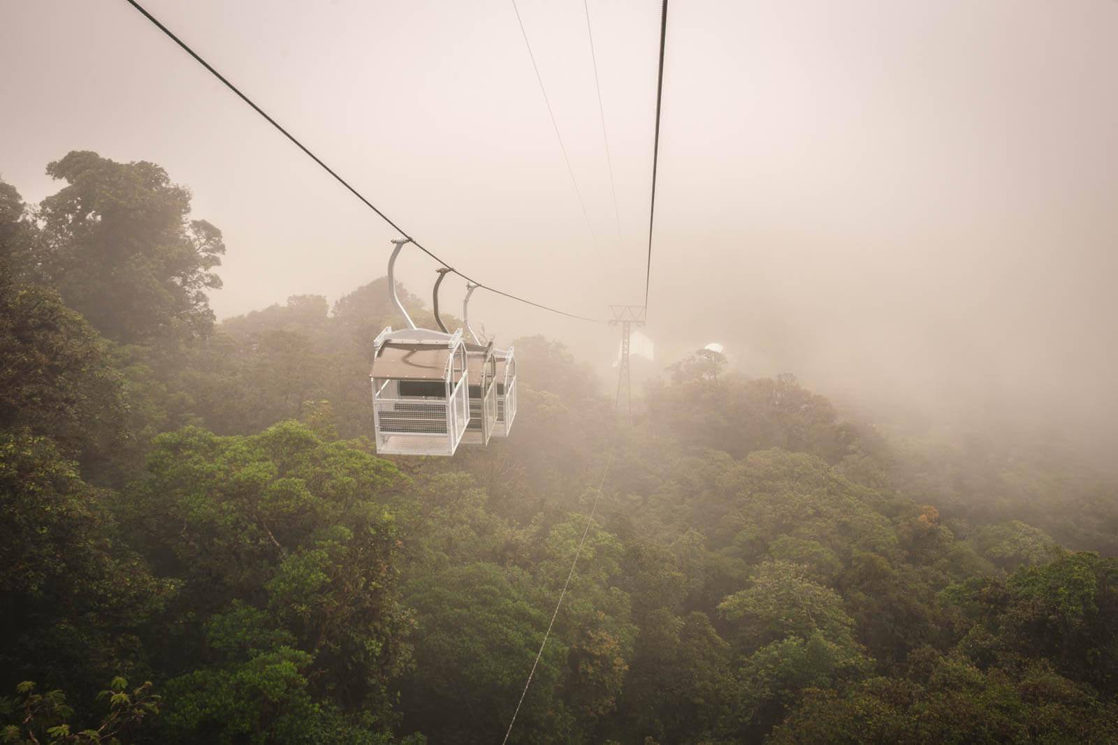 Der Monteverde-Nebelwald