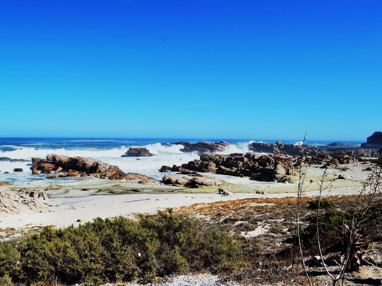 Visita della città, spiagge e Robben Island