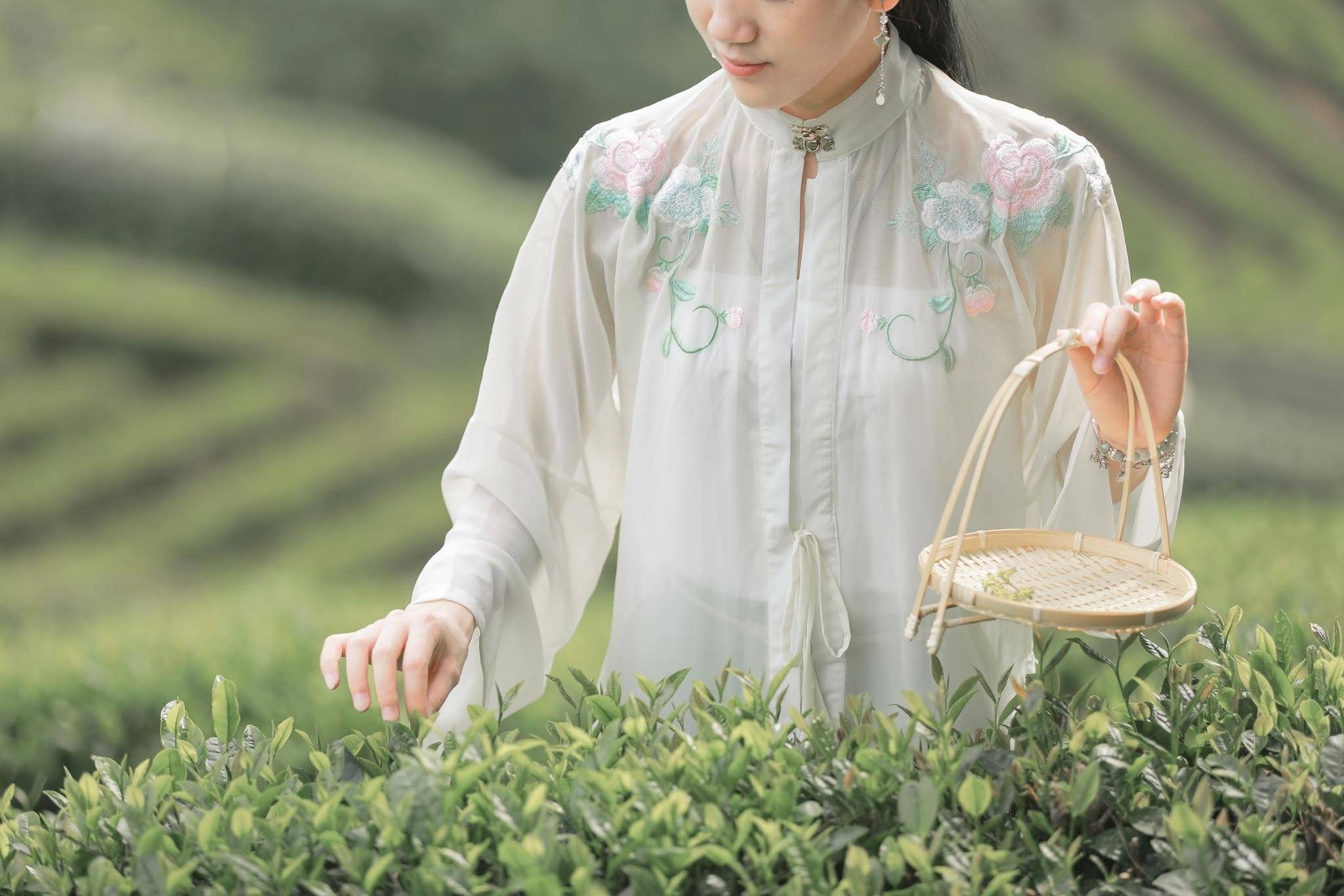 Visita ad Hangzhou, famosa per il West Lake e le piantagioni di tè
