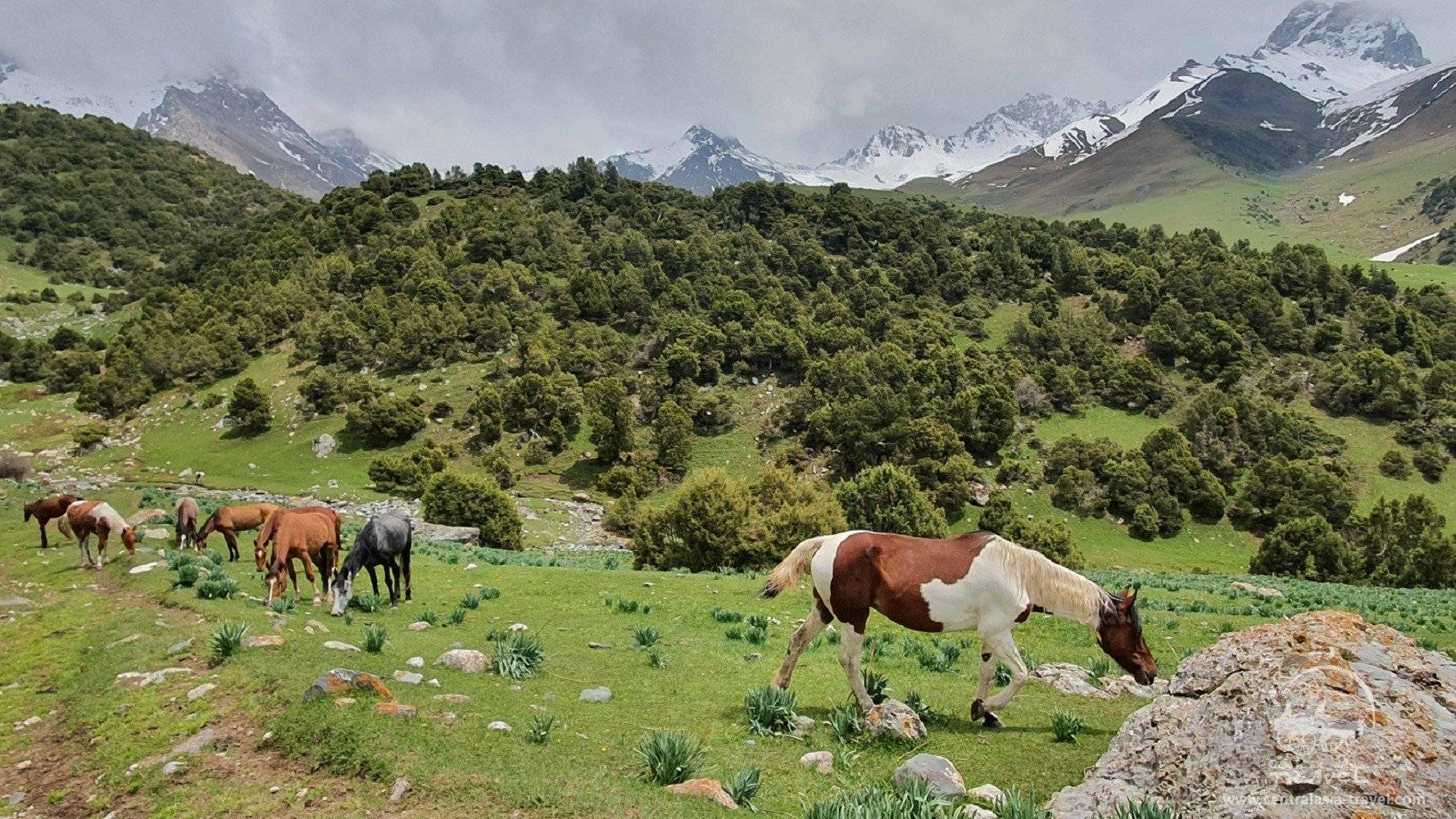 El parque nacional “Kirguis-Atá“