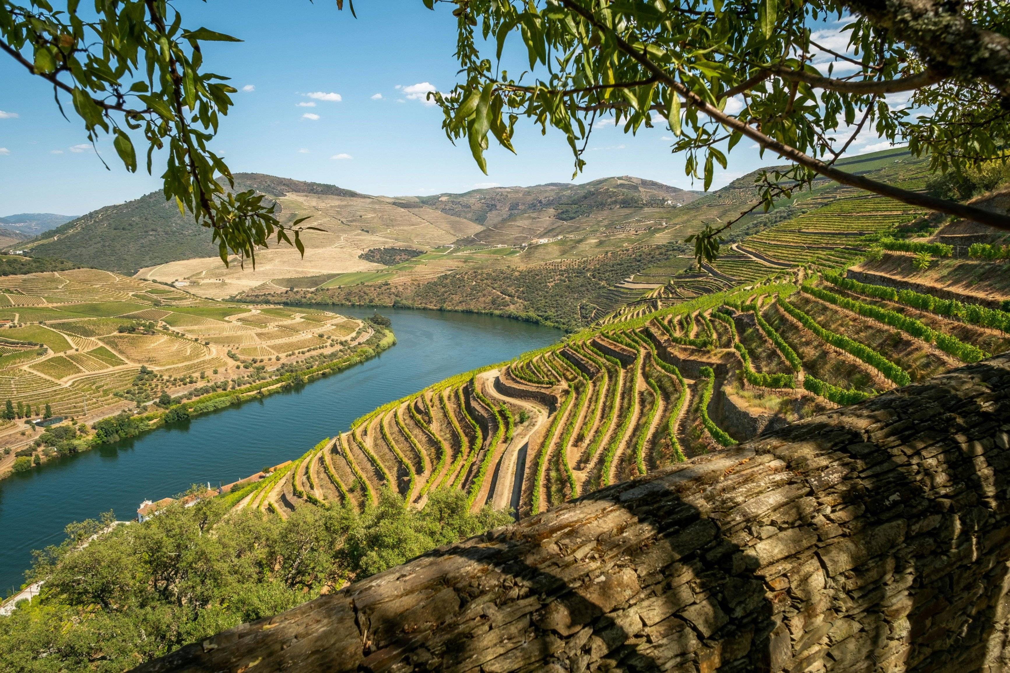 Excursion dans la majestueuse vallée du Douro