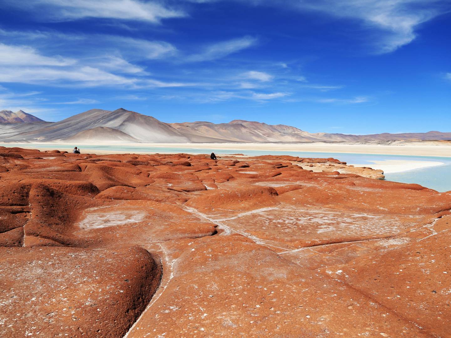 Il Salar de Atacama, i laghi dell'Altopiano e Piedras Rojas
