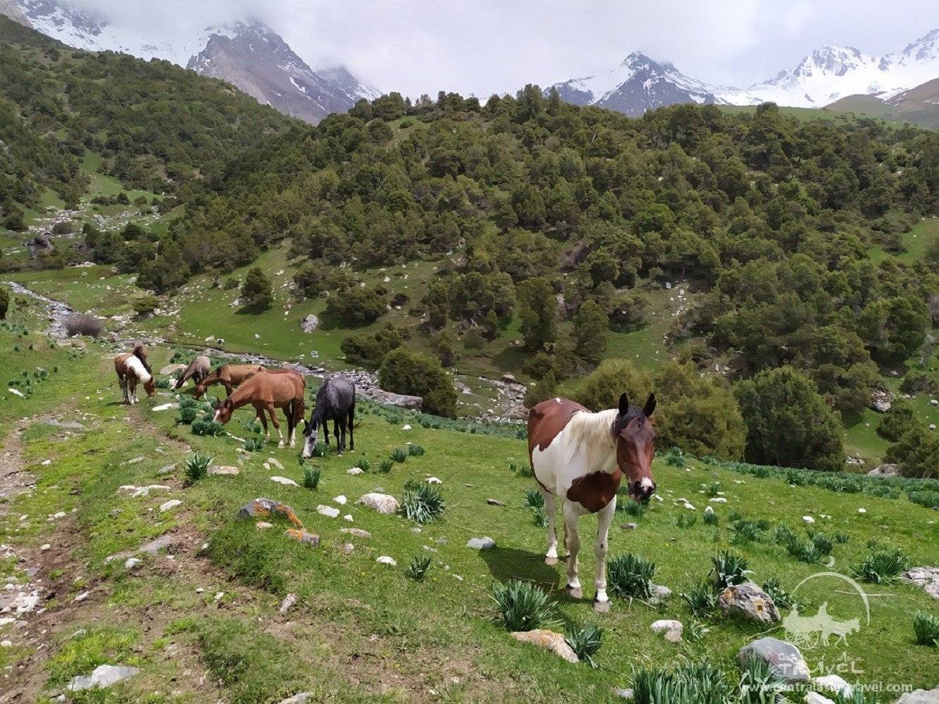 El parque nacional “Kirguís-Ata” de Osh nos ofrece trekking y conocer la vida nómada