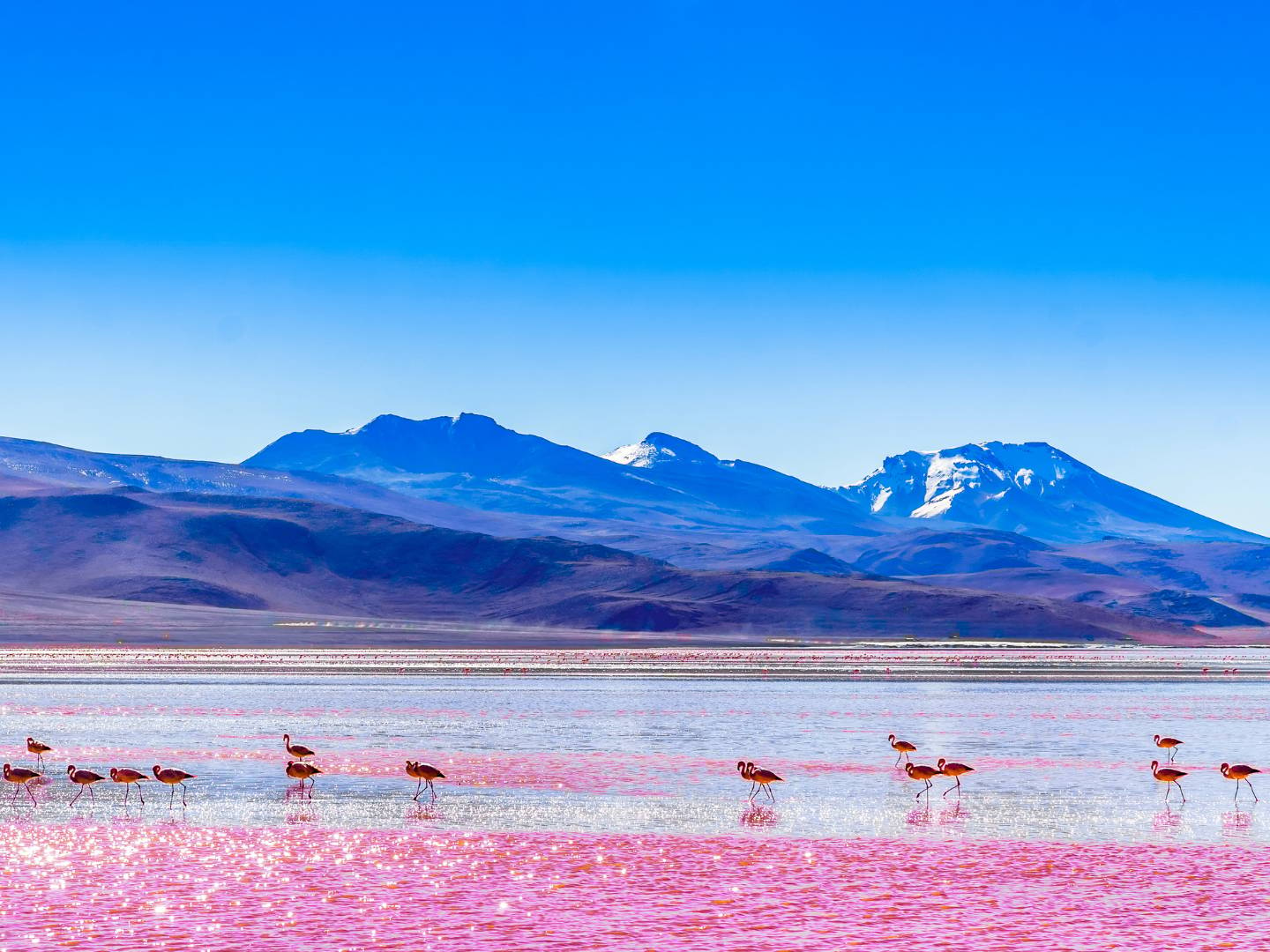 Rientro a San Pedro de Atacama