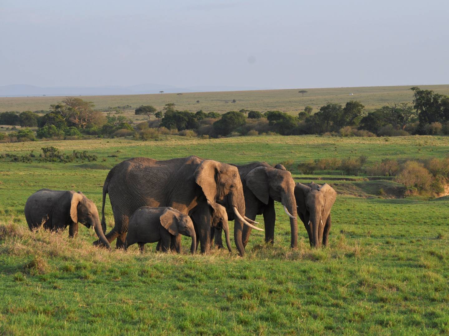 Partenza per Amboseli National Park