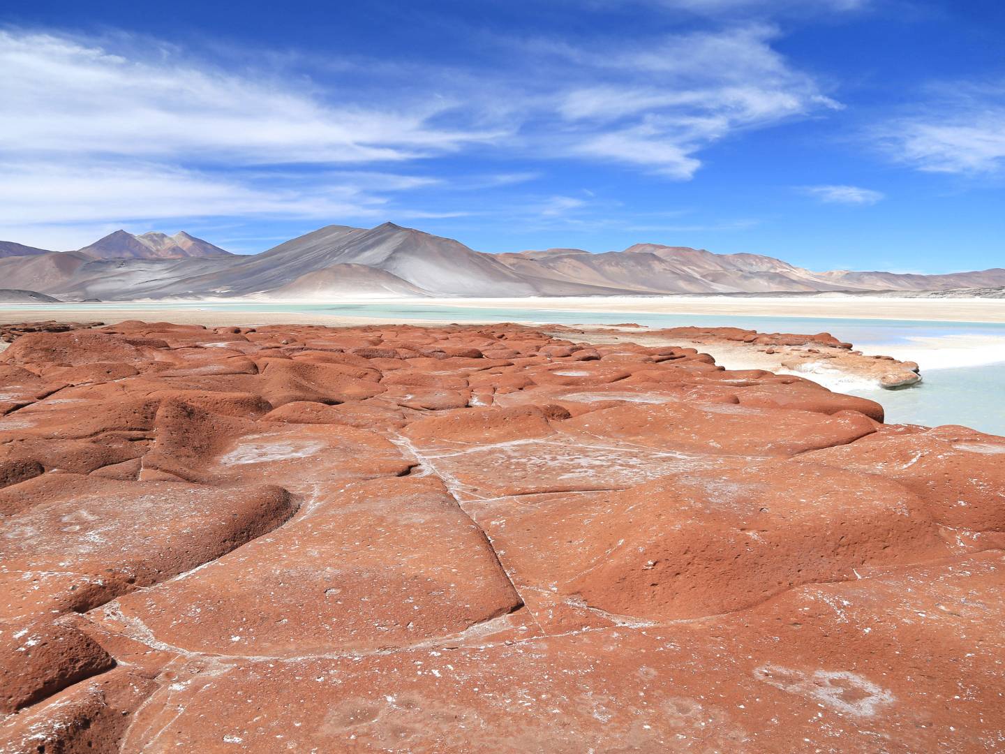 Salar de Atacama, Altiplanic Lagoons en Rode Stenen
