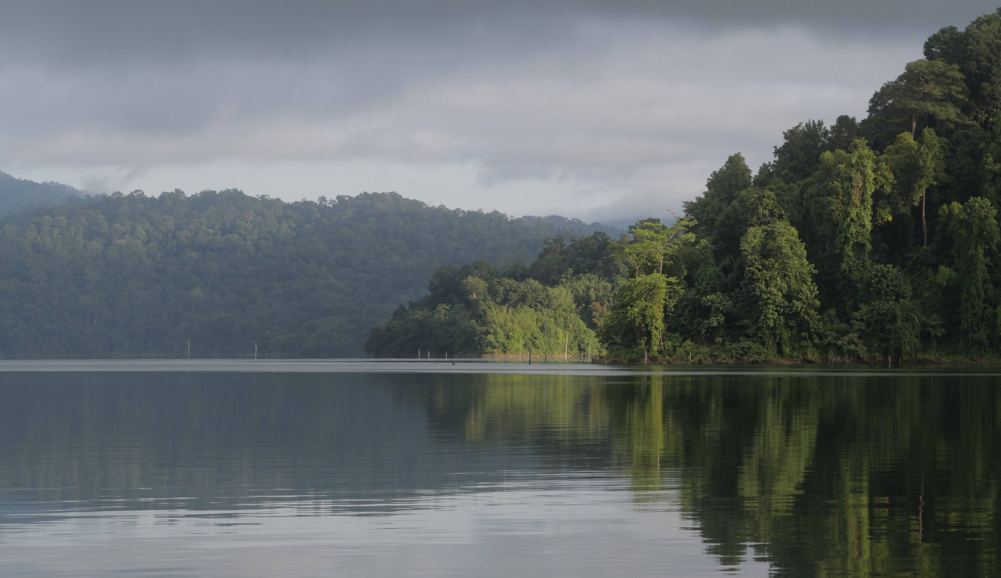 Escursione in barca sul lago e trekking nella foresta Belum Temenggor