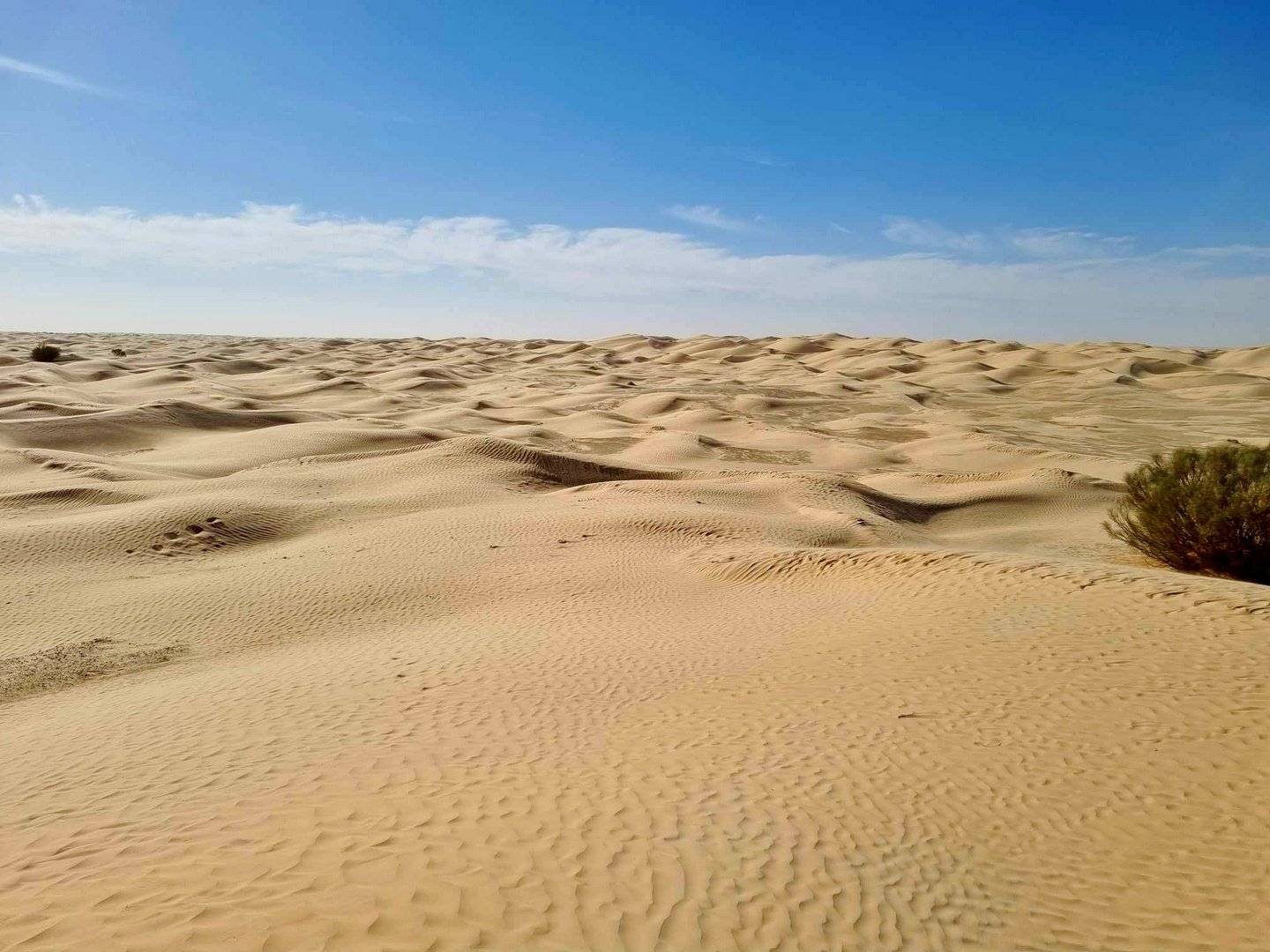 Les premières dunes du désert du Sahara