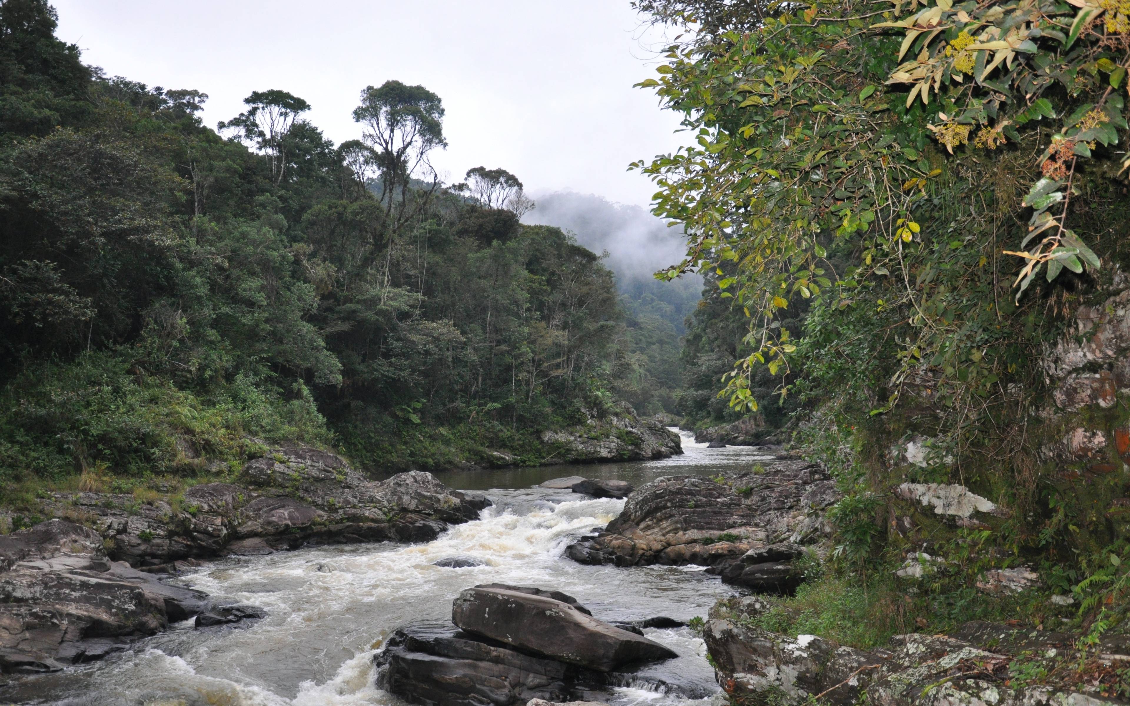 Ab zum Regenwald von Ranomafana