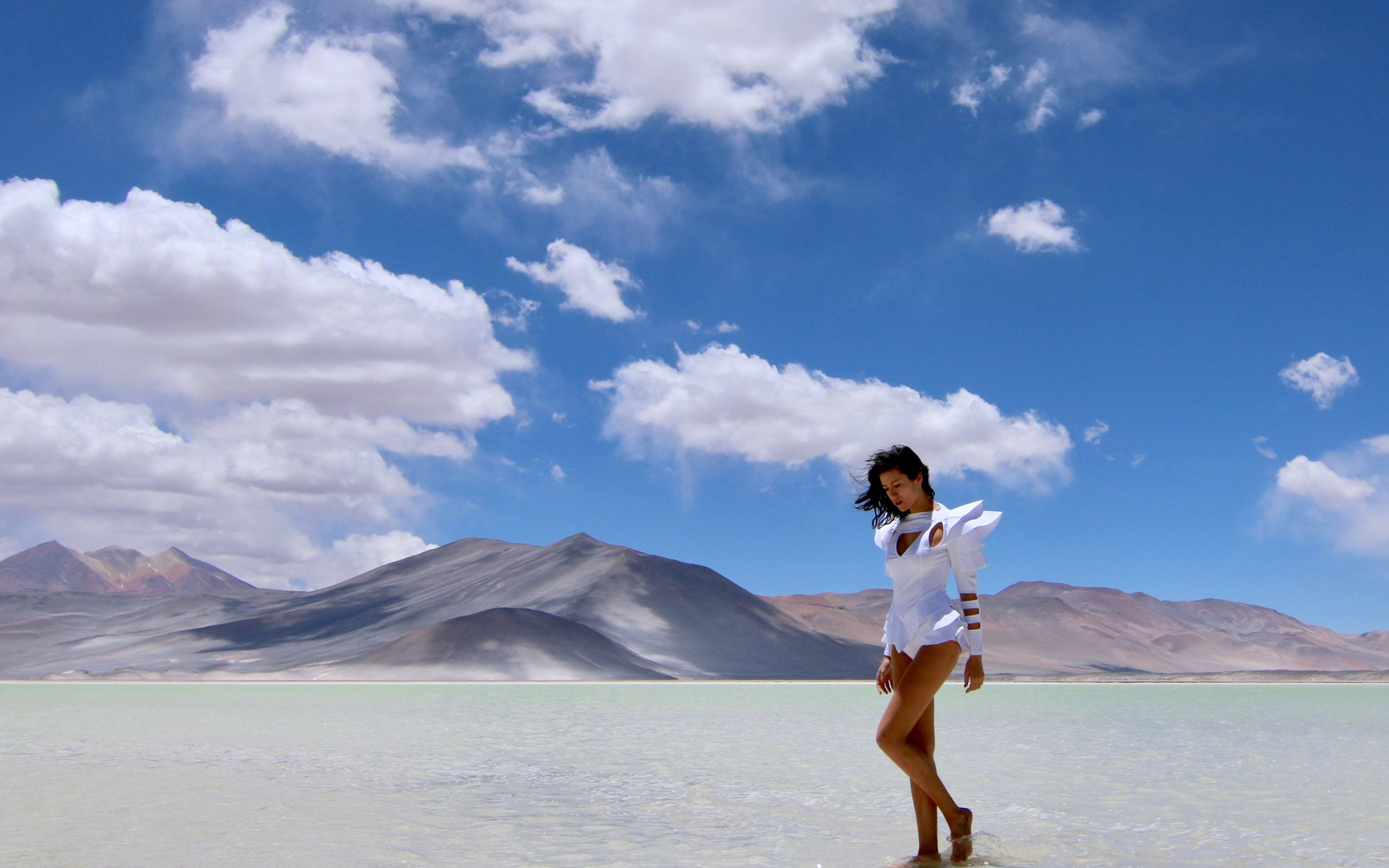 Saline di Atacama e Lagune Altiplaniche