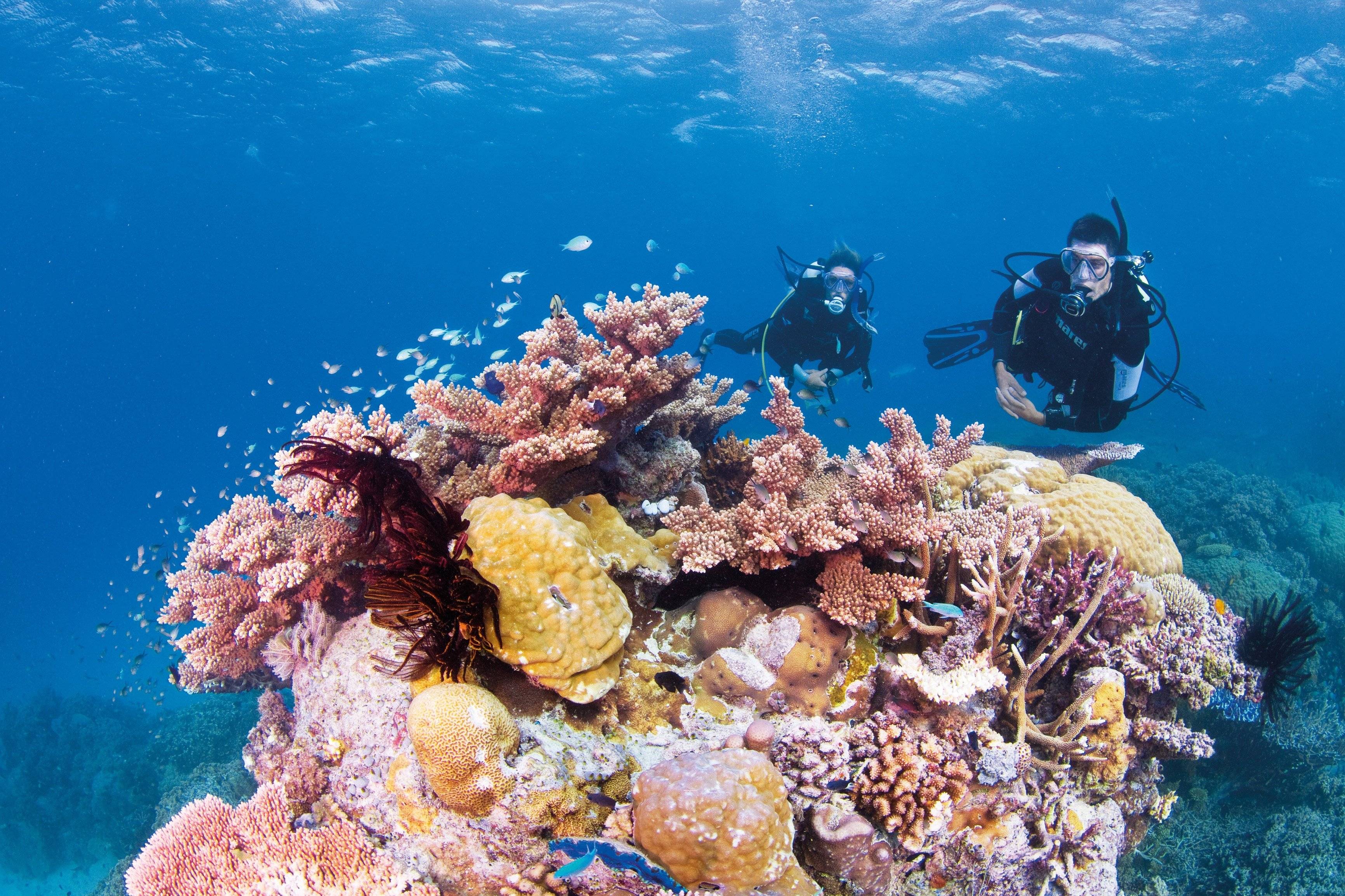 Entdeckung des Great Barrier Reefs