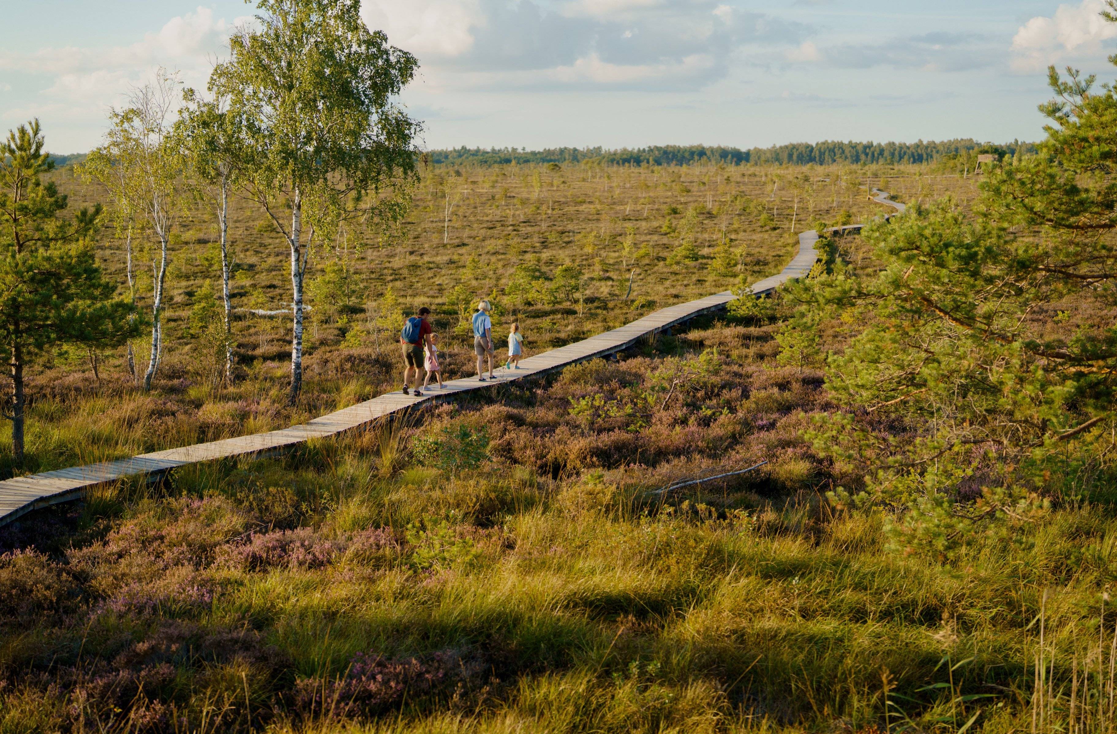 La grande traversata dell'Estonia attraverso il Parco di Lahemaa