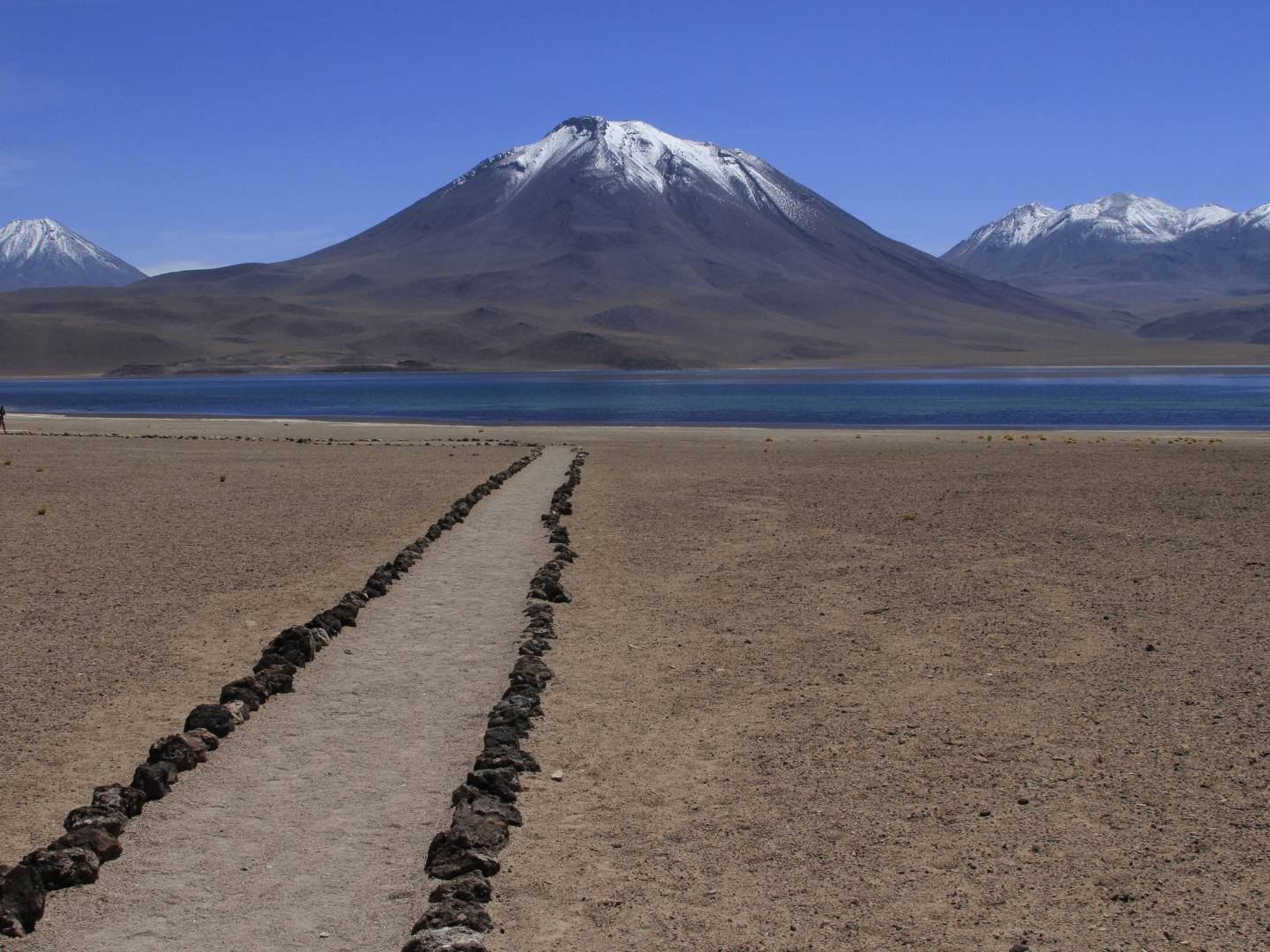 De Salar de Atacama, Altiplano-lagunes en rode stenen