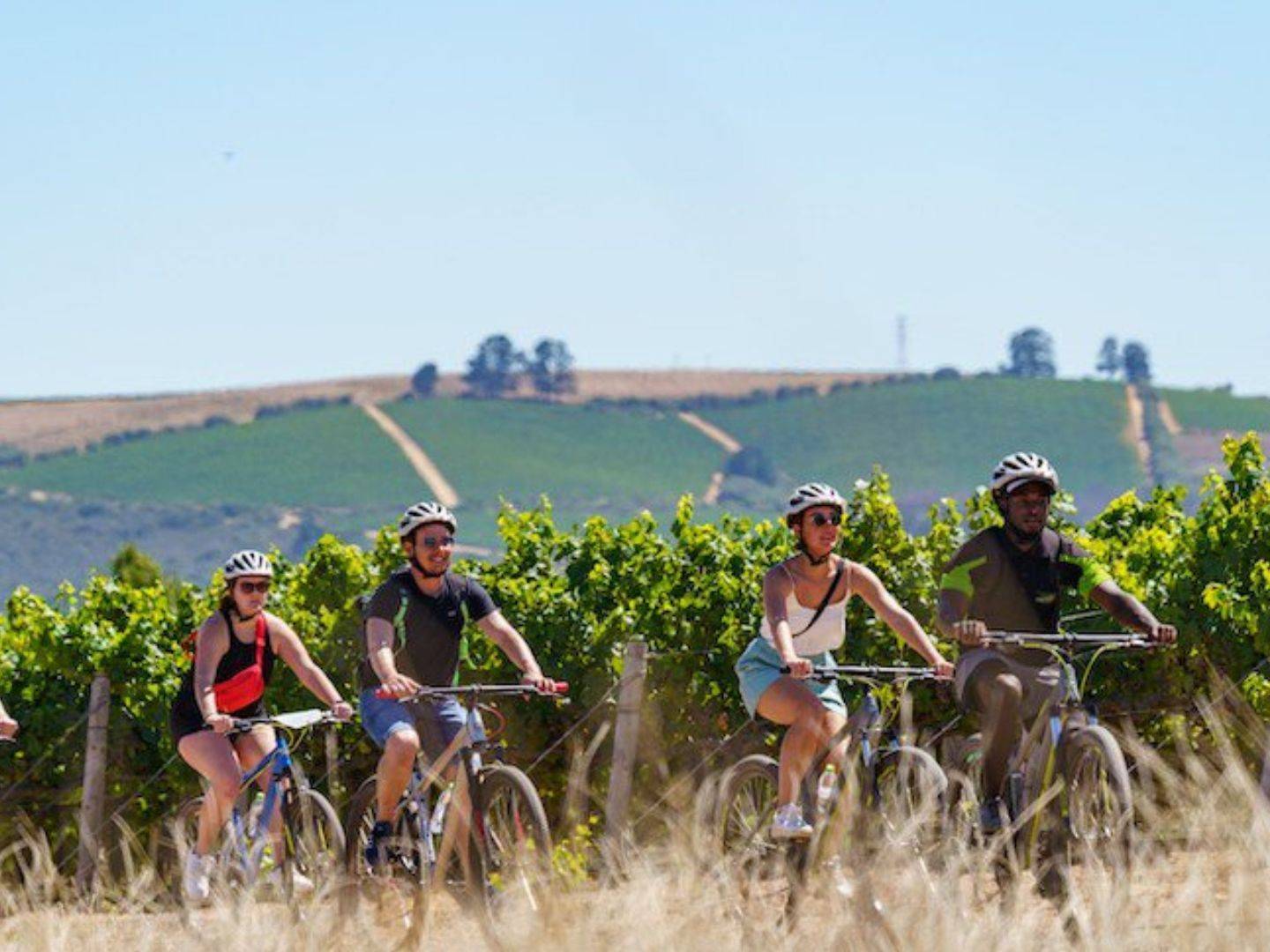 Mountainbike-Tour durch die Weingegend