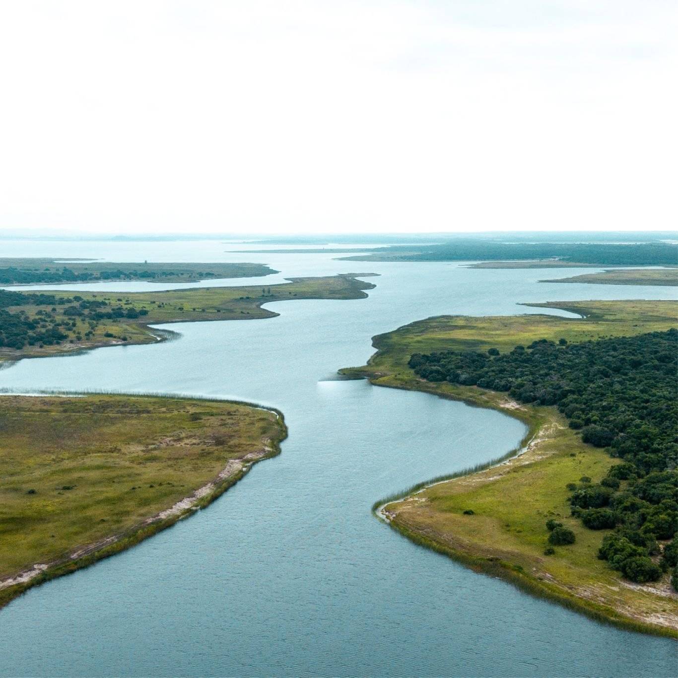 iSimangaliso Wetland, estuario e fauna selvatica