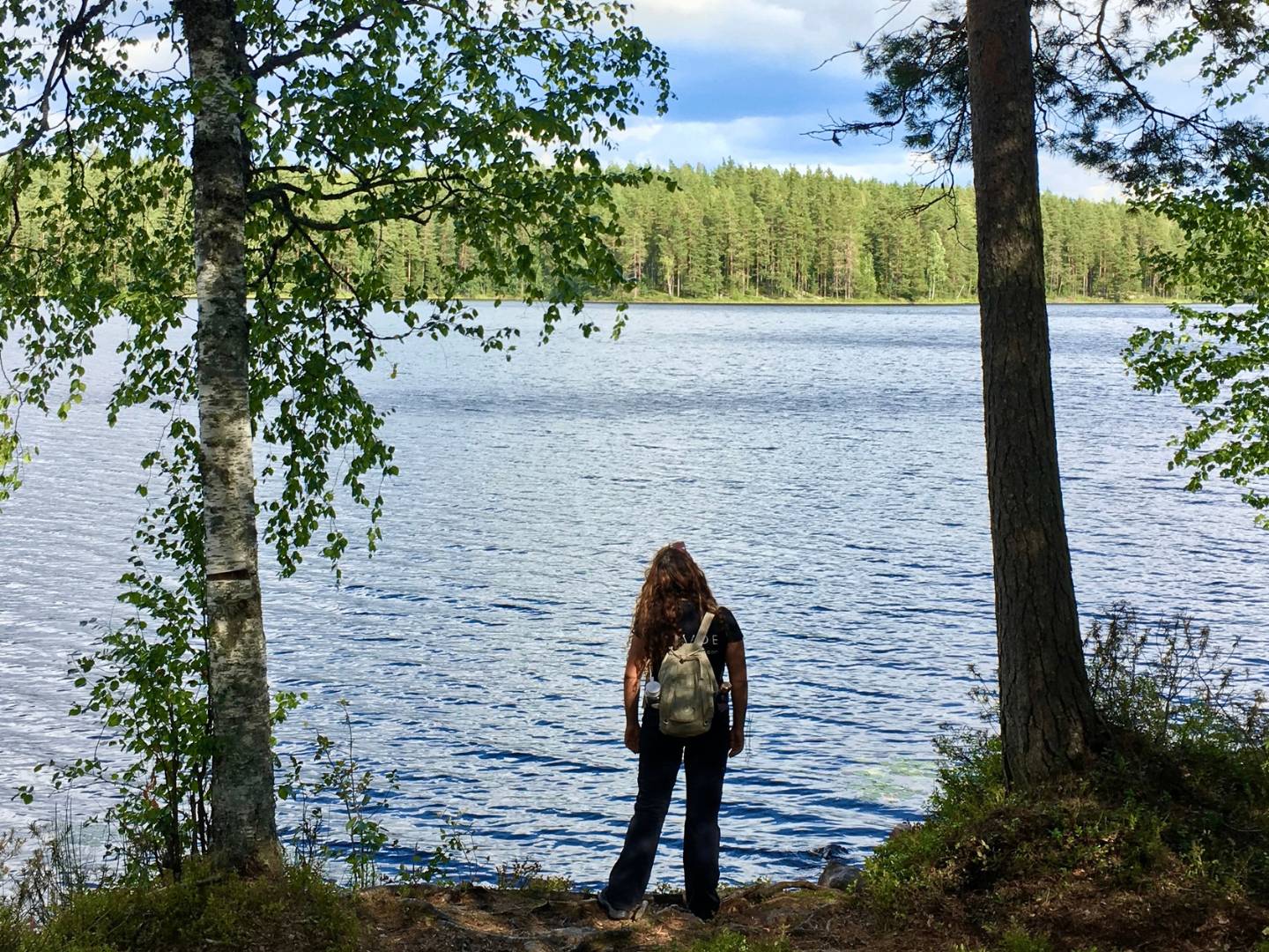 Excursión en el bosque finlandés