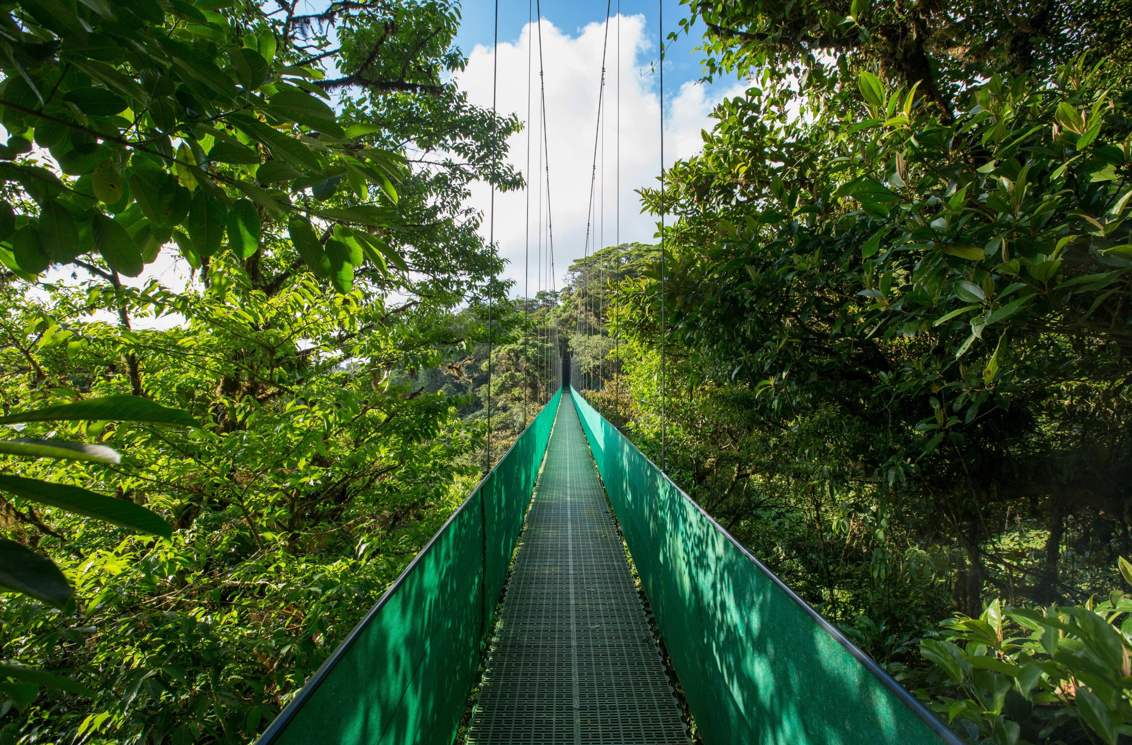 Hängebrücken – Über den Wolken Monteverdes