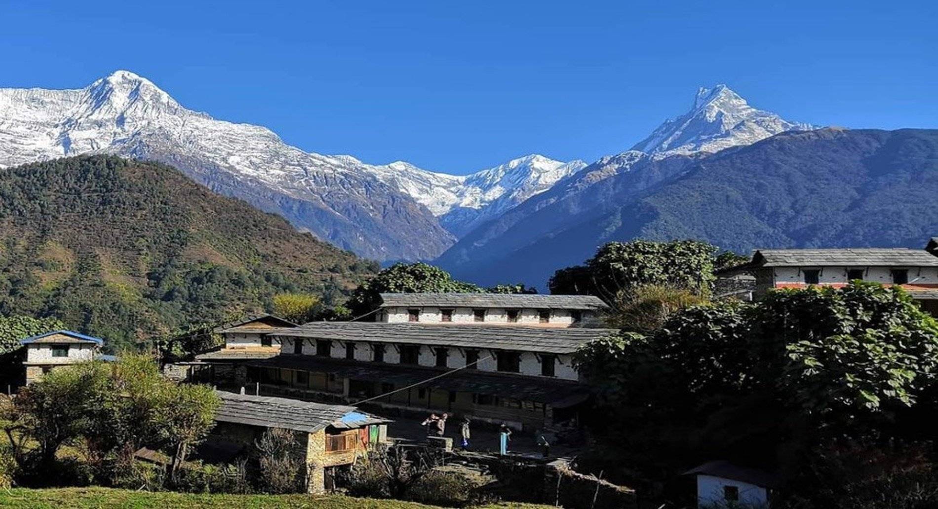 Trek a Phulbari (2925 m) - Mohare Danda (3320 m)