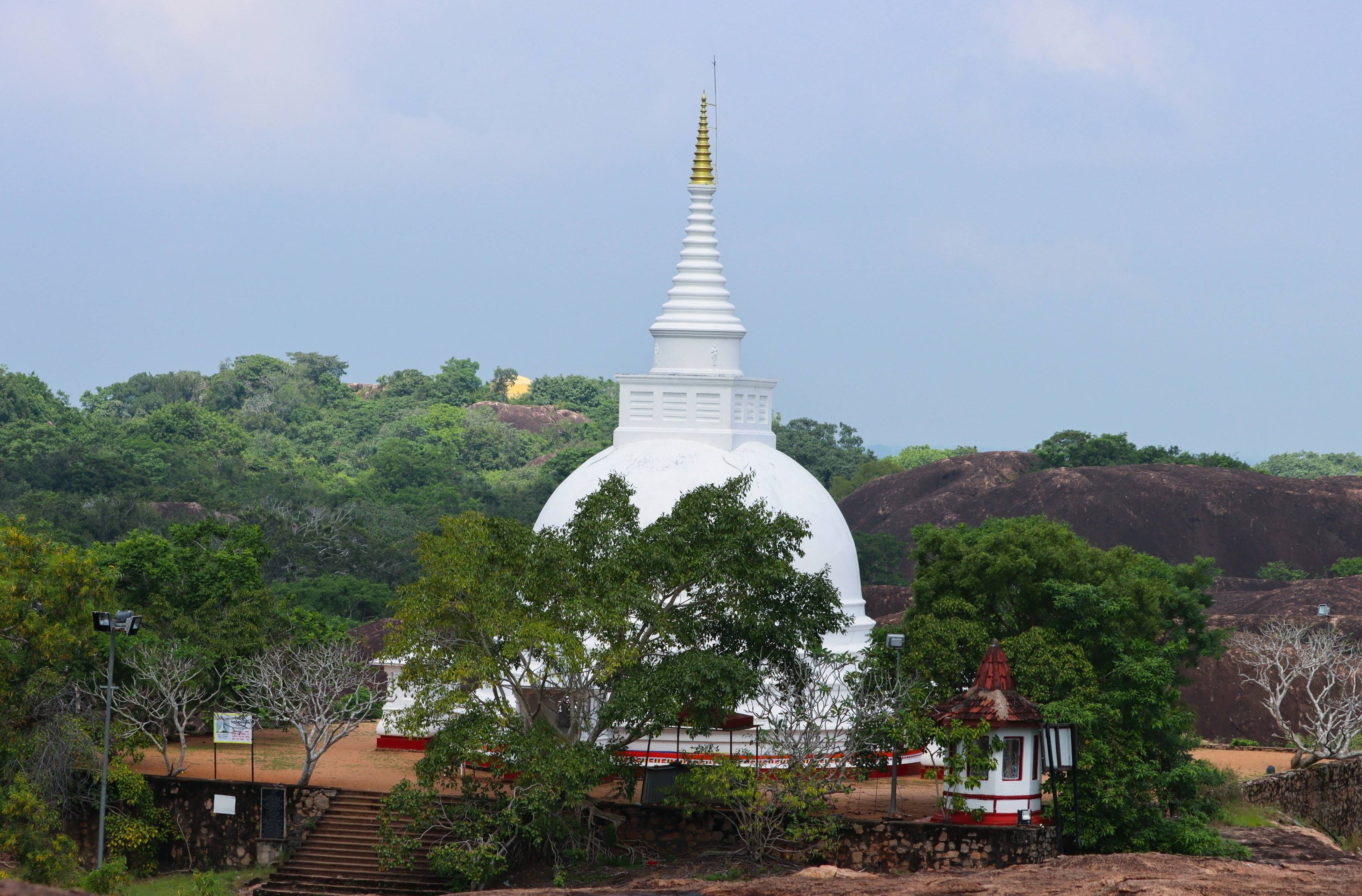 Berceau du bouddhisme et découverte de la cité antique d'Anuradhapura à vélo