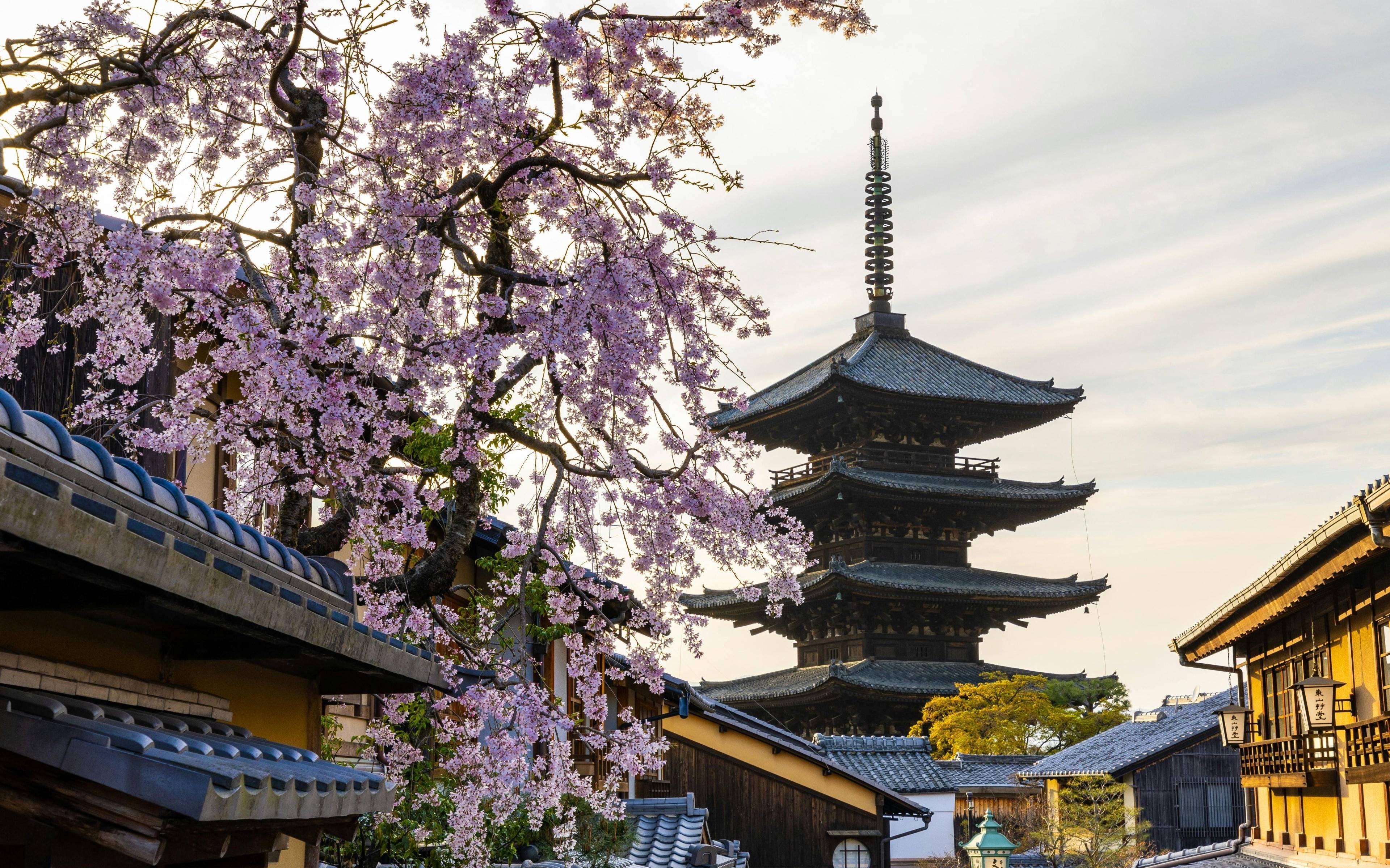 Kyoto Est : Un Voyage au Cœur des Trésors Cachés