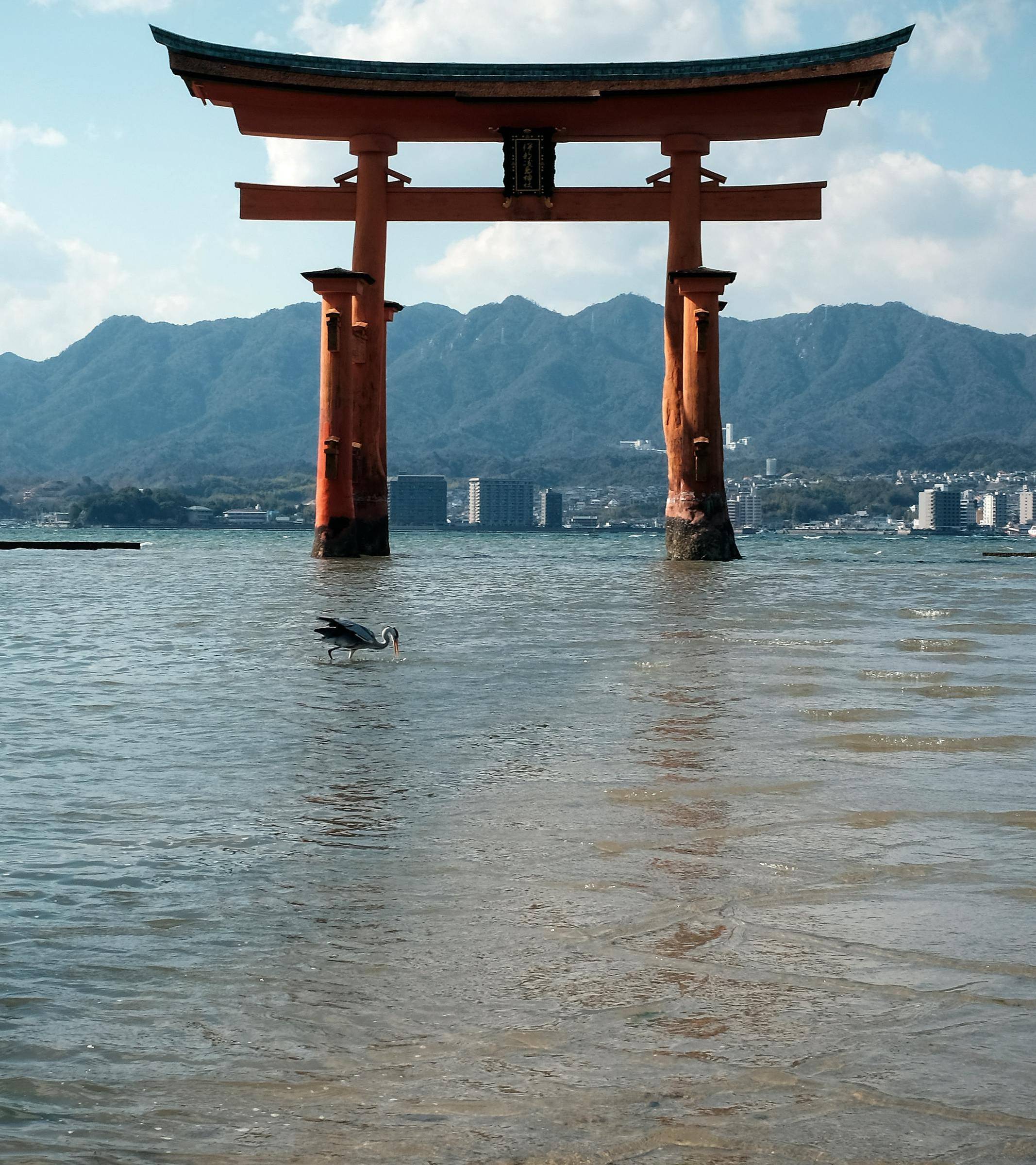 La Magie de Miyajima : Entre Tradition et Nature Sacrée