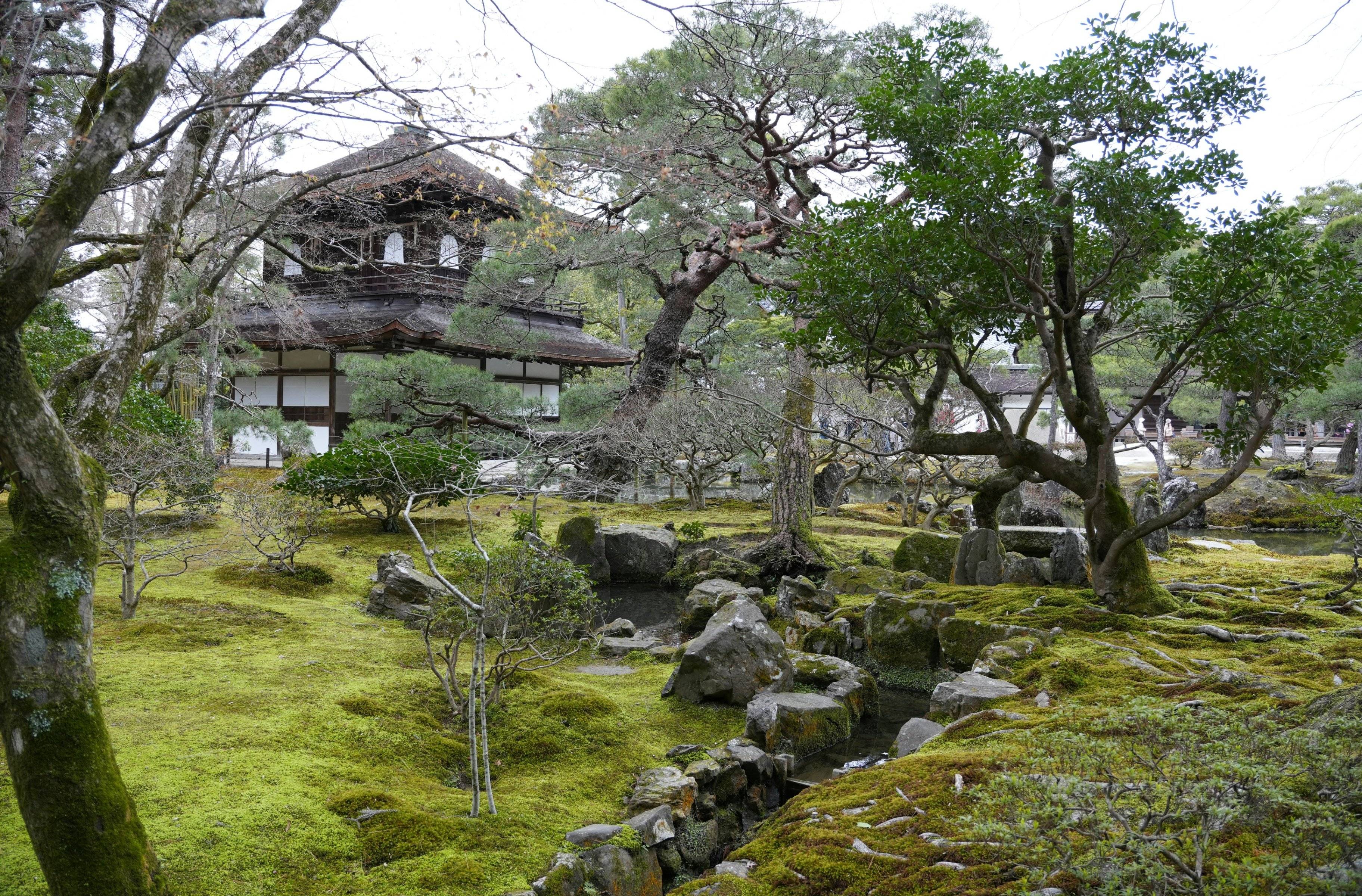 Romance en el Norte de Kioto - Templos, Jardines y Paseos Idílicos