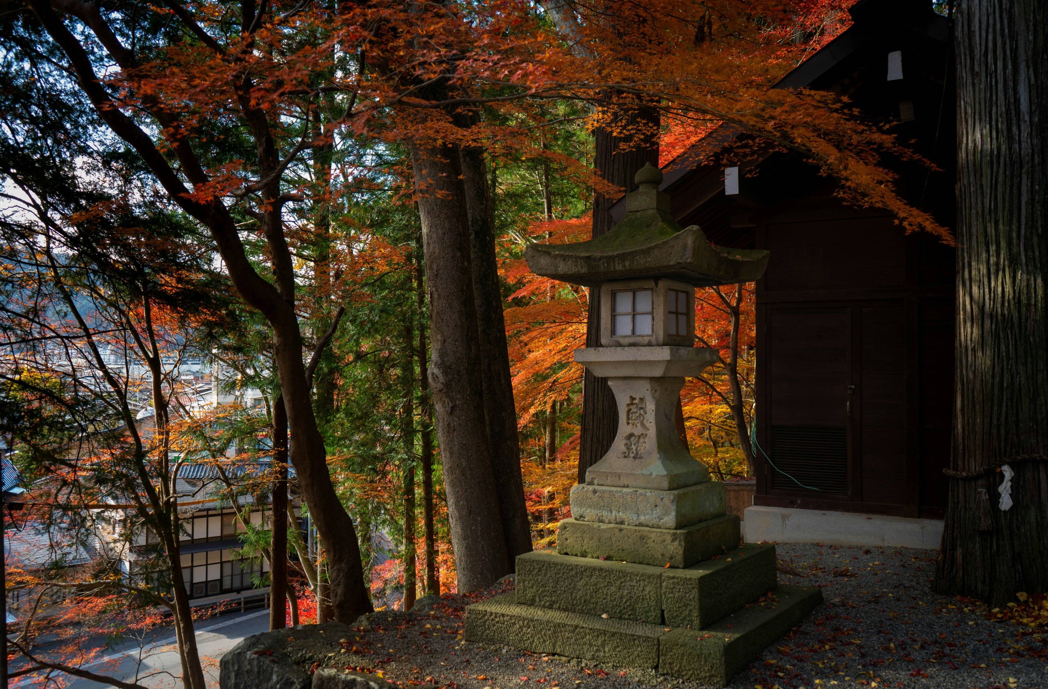 Encanto Histórico, Un Día Romántico en Takayama