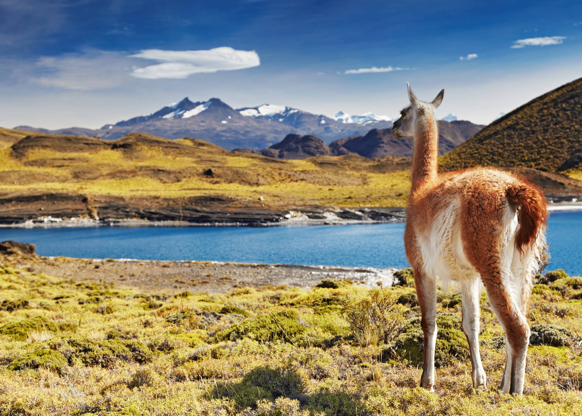 Het Nationale Park Torres del Paine