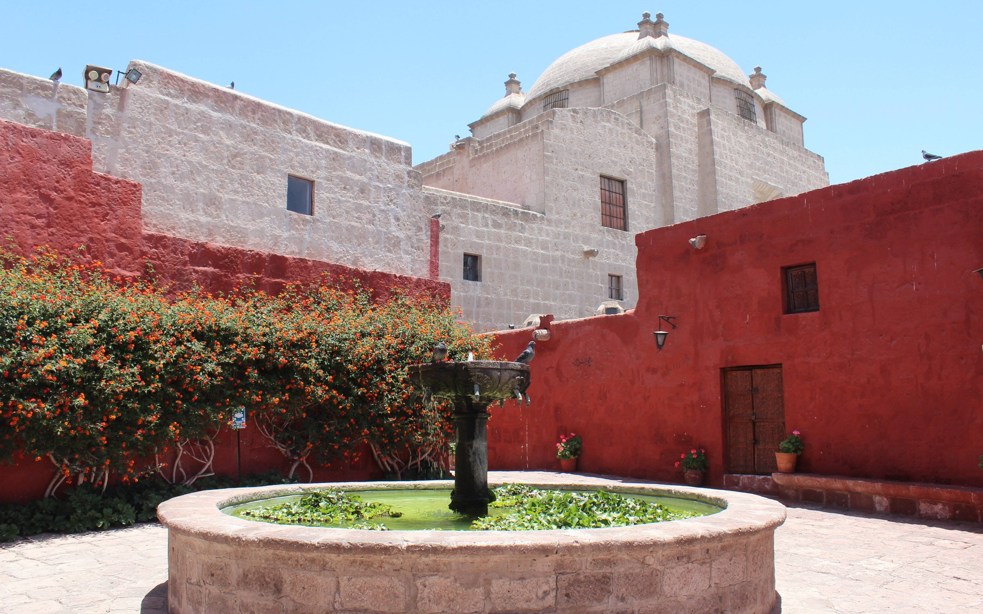 Visitando la "Ciudad Blanca de Arequipa"