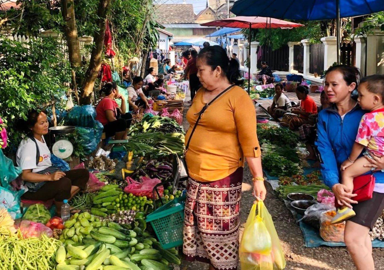 Fahrradtour durch Luang Prabang mit seinen Märkten und Tempeln