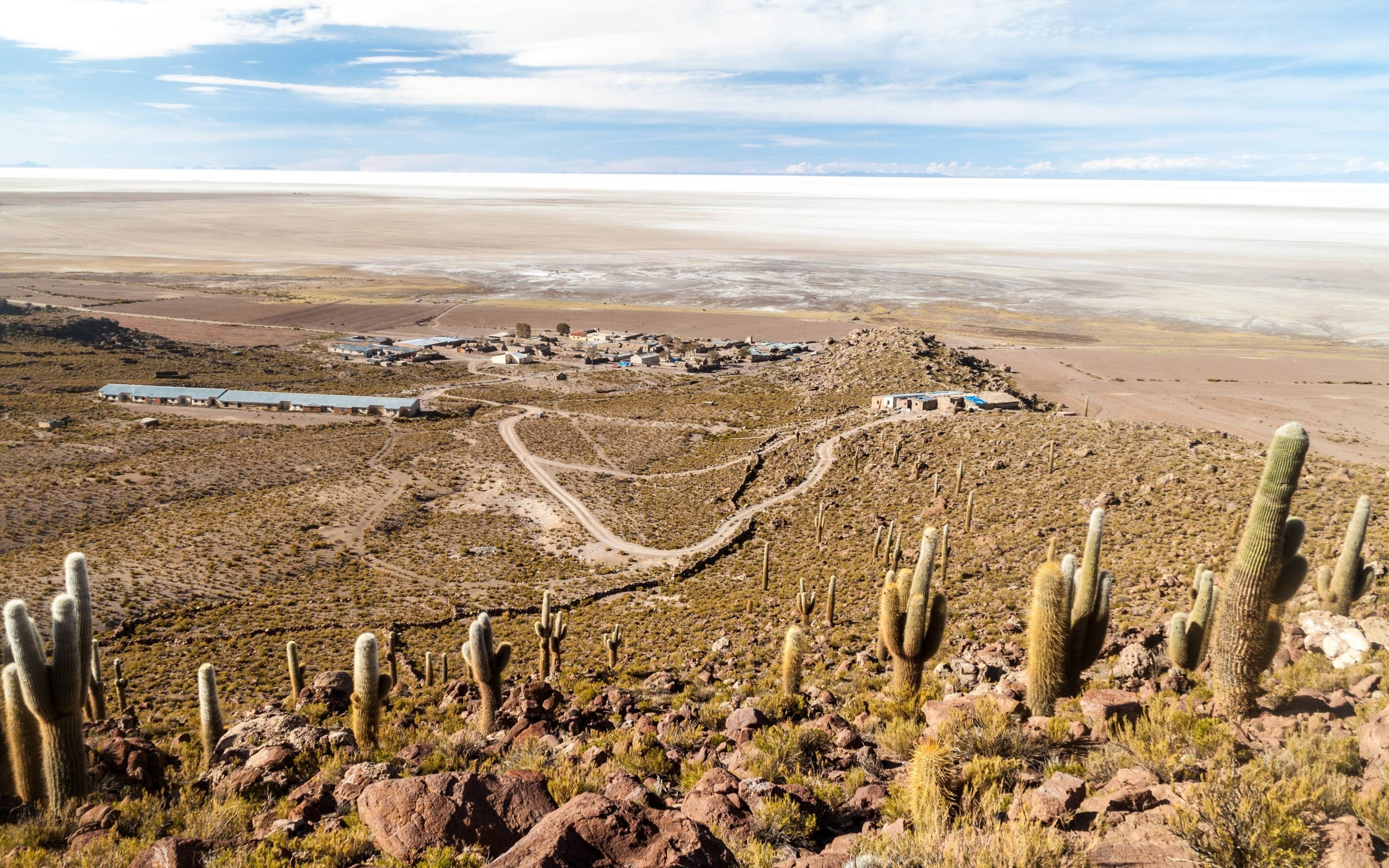 Sur del Altiplano y Laguna Colorada