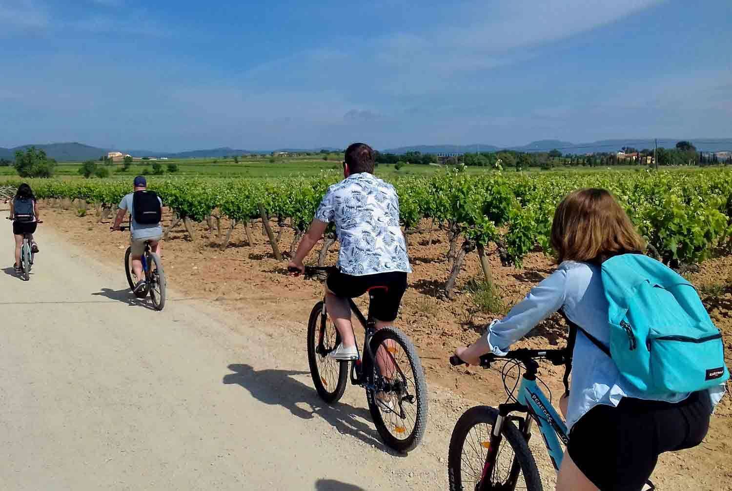 Balade à vélo autour des vignobles de Lujan de Cuyo