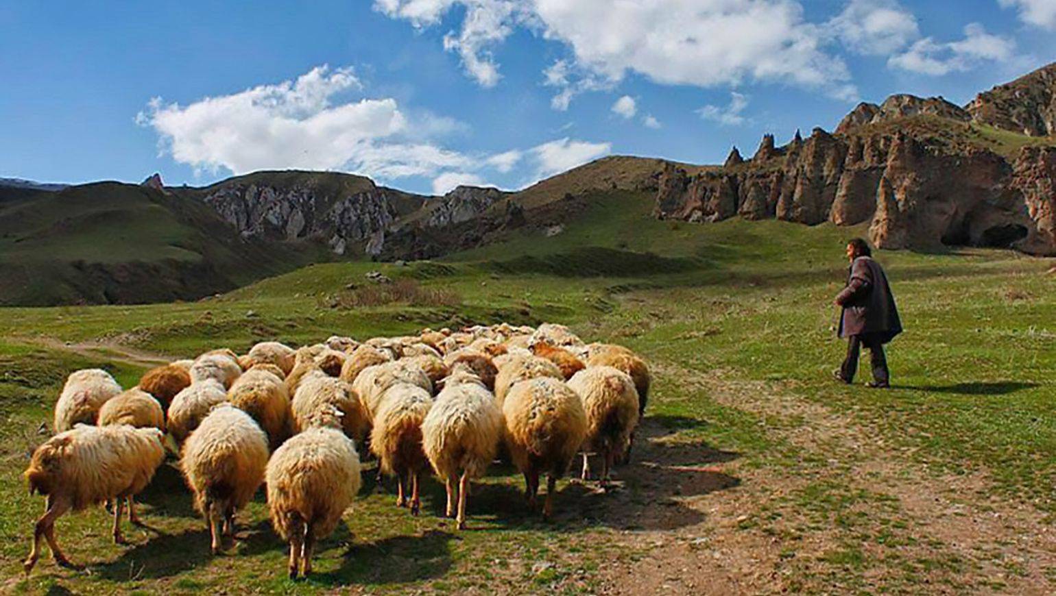 Combinatiereis: Armenië en Georgië