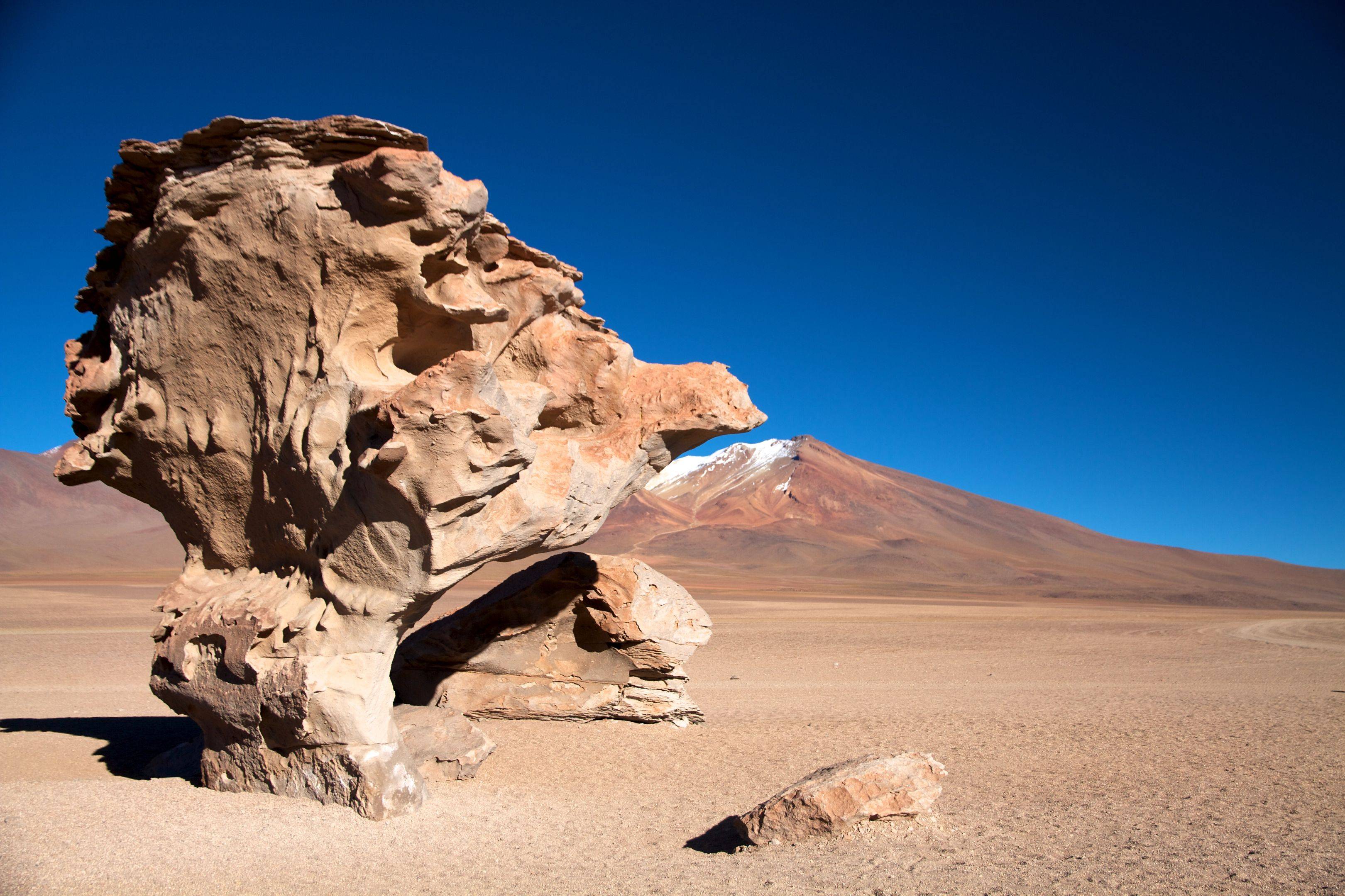 Combiné Chili et Bolivie : le meilleur de l'Altiplano