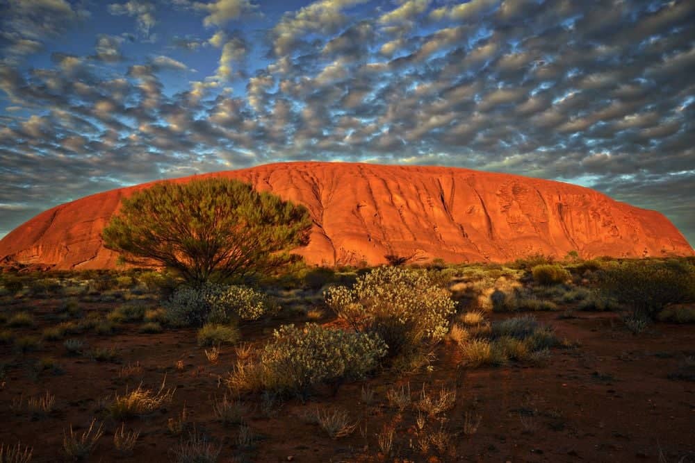 The Red Centre – Das Outback in seiner reinsten Form